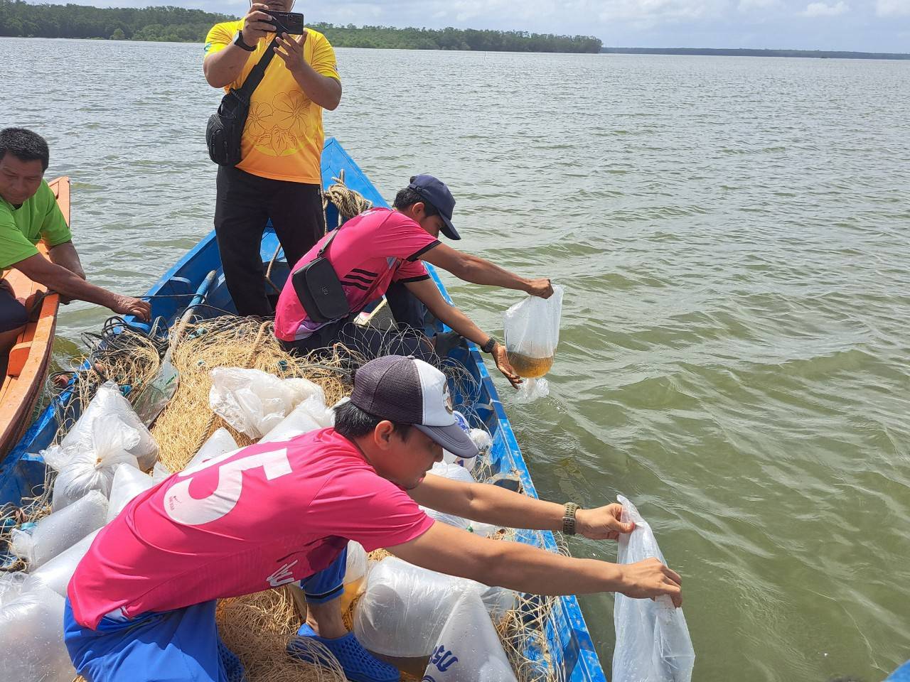 กิจกรรมปล่อยพันธุ์กุ้งทะเล จำนวน 600,000 ตัว  บริเวณอ่าวปัตตานี บ้านดาโต๊ะ ต.แหลมโพธิ์ อ.ยะหริ่ง จ.ปัตตานี