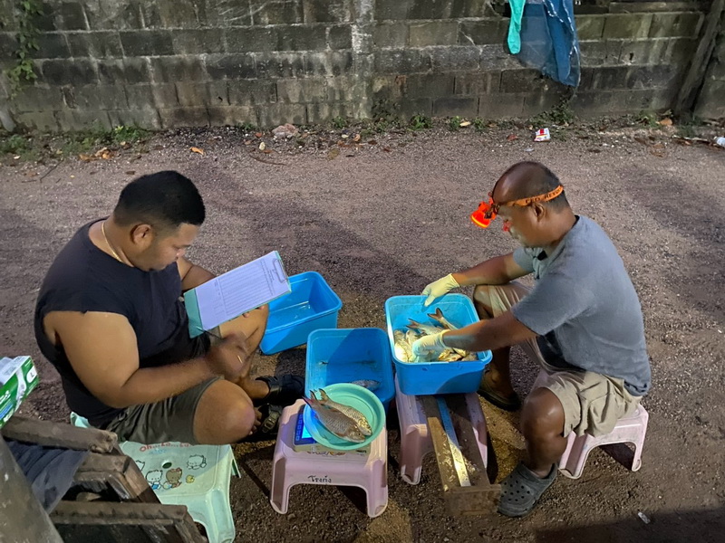 ดำเนินการประเมินสภาวะทรัพยากรสัตว์น้ำ ในพื้นที่ทะเลน้อยจังหวัดพัทลุง