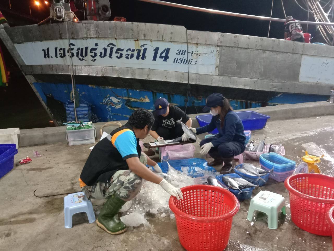 เจ้าหน้าที่ศูนย์วิจัยและพัฒนาประมงทะเลสงขลา ออกปฏิบัติงานเก็บรวบรวมข้อมูลทรัพยากรประมงจากเรืออวนล้อมจับที่ขึ้นท่าในพื้นที่จังหวัดนครศรีธรรมราช สงขลา และปัตตานี ประจำเดือนกุมภาพันธ์ 2568