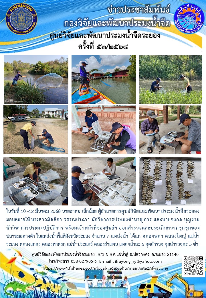 ข่าวประชาสัมพันธ์กิจกรรมฉบับที่ 53/2568..คลิก