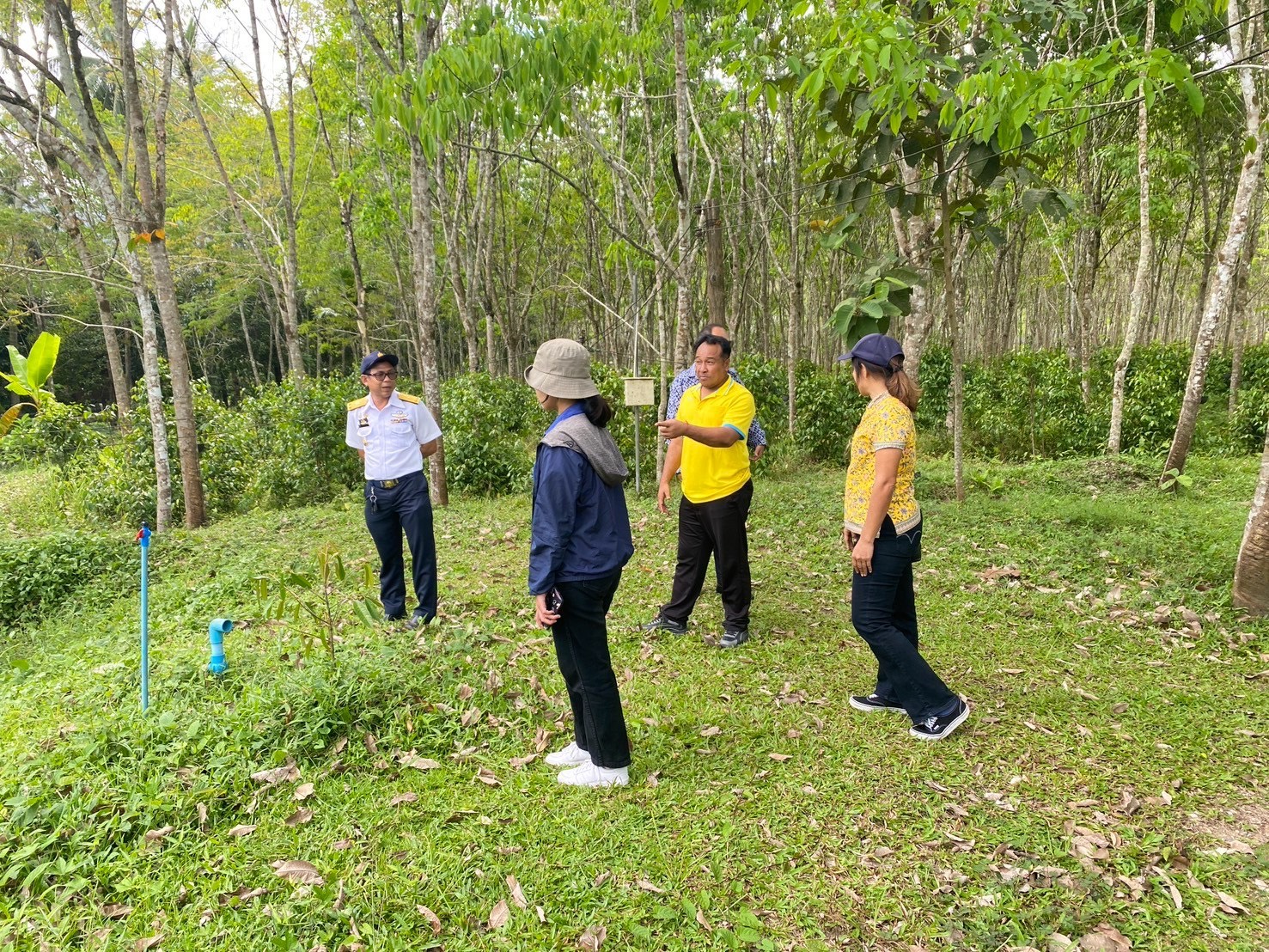ประมงจังหวัดพัทลุง พร้อมด้วย  เจ้าหน้าที่สำนักงานประมงจังหวัดพัทลุง ลงพื้นที่ให้คำแนะนำ ในการเลี้ยงสัตว์น้ำเศรษฐกิจชนิดใหม่ “ปลาชะโอน” ให้กับเกษตรกรพื้นที่อำเภอกงหรา จังหวัดพัทลุง..คลิก