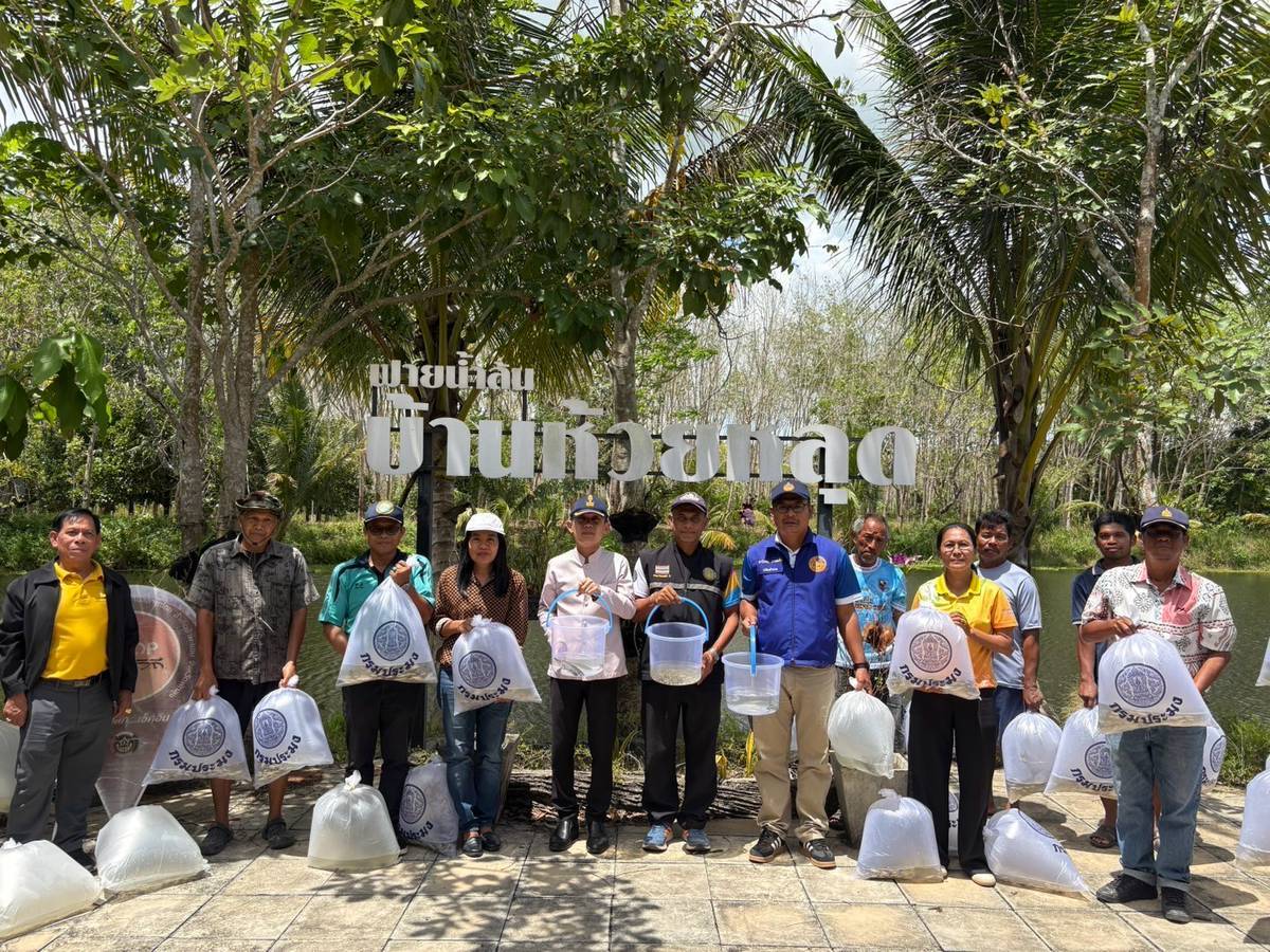 หัวหน้ากลุ่มบริหารจัดการด้านการประมง เจ้าพนักงานประมงปฎิบัติงาน   รับผิดชอบอำเภอป่าพะยอม ประมงอำเภอควนขนุน  รับผิดชอบประมงอำเภอศรีบรรพต ร่วมปล่อยพันธุ์สัตว์น้ำ โครงการบริหารจัดทรัพยากรประมง จำนวน 3 ชนิด ได้แก่ ปลาตะเพียนขาว จำนวน 12,000 ตัว ปลาบึก  จำนวน 200 ตัว ปลาเกล็ดเงิน จำนวน 2,000 ตัว ณ แหล่งน้ำห้วยหลุด  หมู่ที่ 2 ตำบลลานข่อย อำเภอป่าพะยอม จังหวัดพัทลุง..คลิก