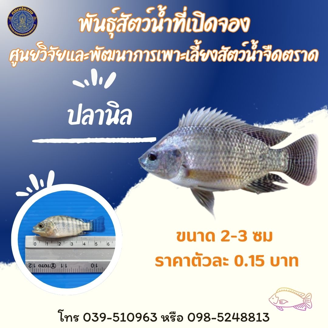 พันธุ์สัตว์น้ำที่เปิดจอง ณ วันที่ 17 - 28 มีนาคม 2568