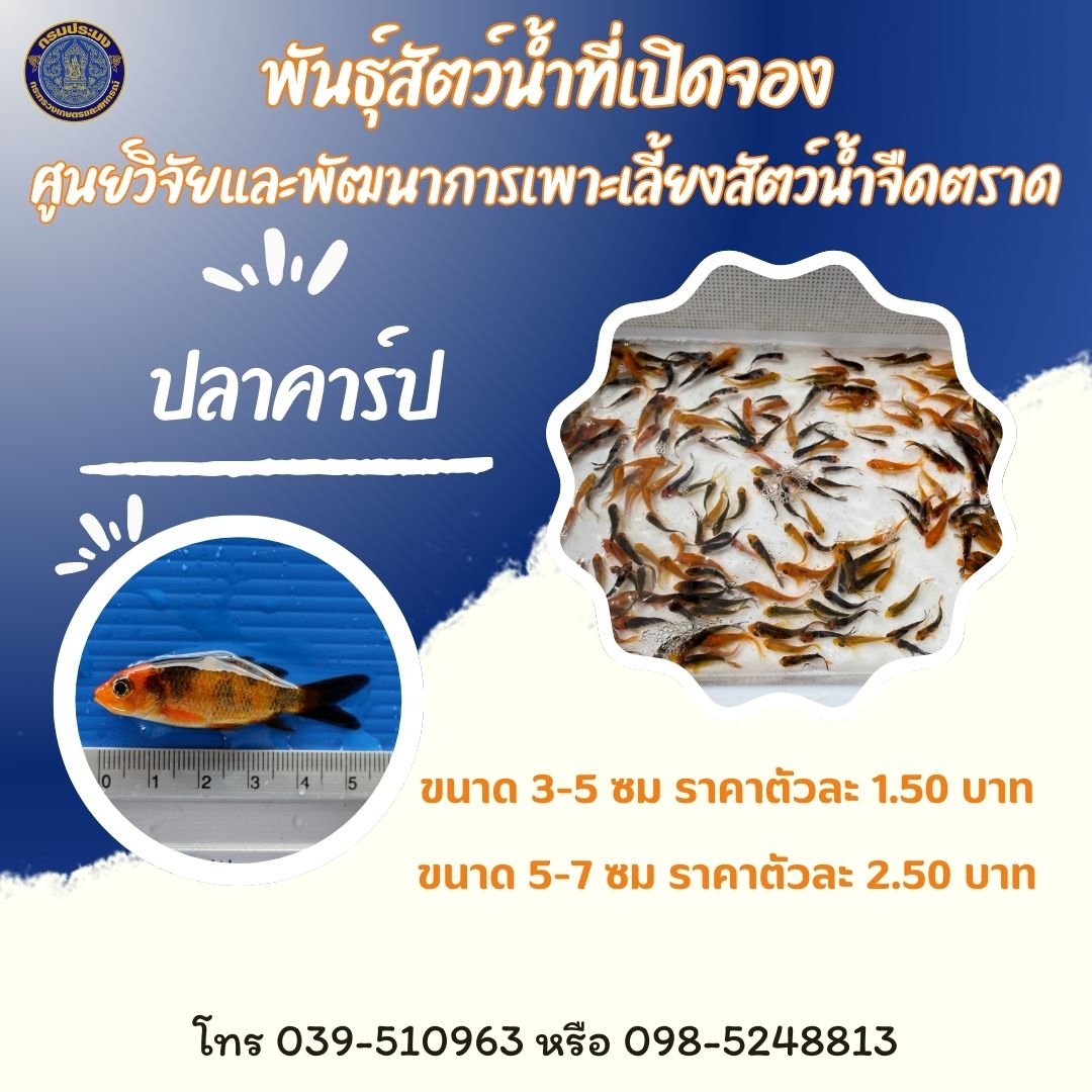 พันธุ์สัตว์น้ำที่เปิดจอง ณ วันที่ 17 - 28 มีนาคม 2568