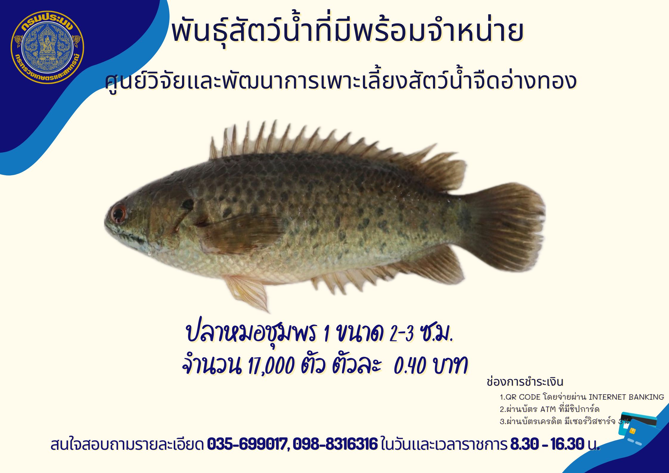พันธุ์สัตว์น้ำที่มีพร้อมจำหน่าย..คลิก