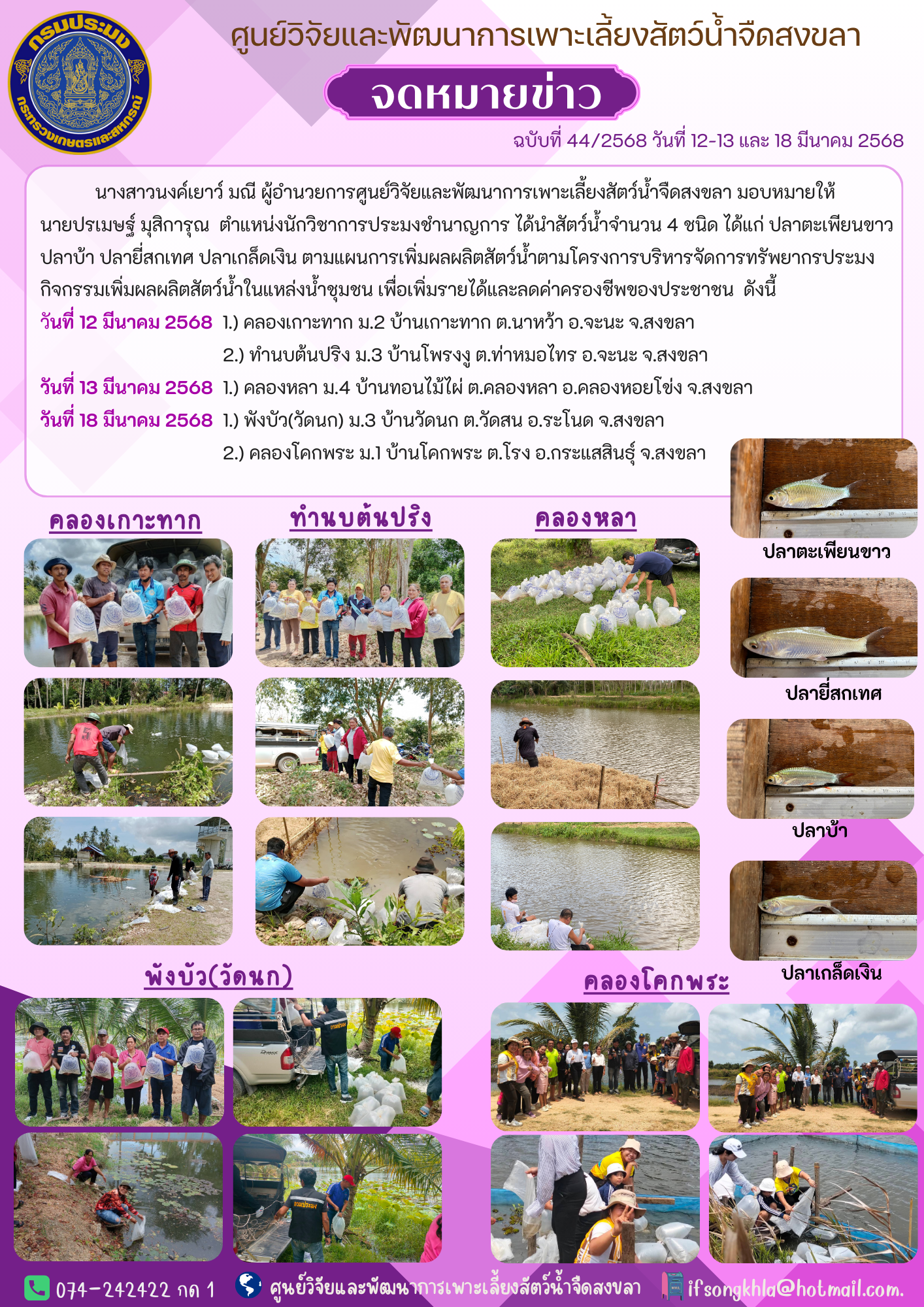 ข่าวประชาสัมพันธ์