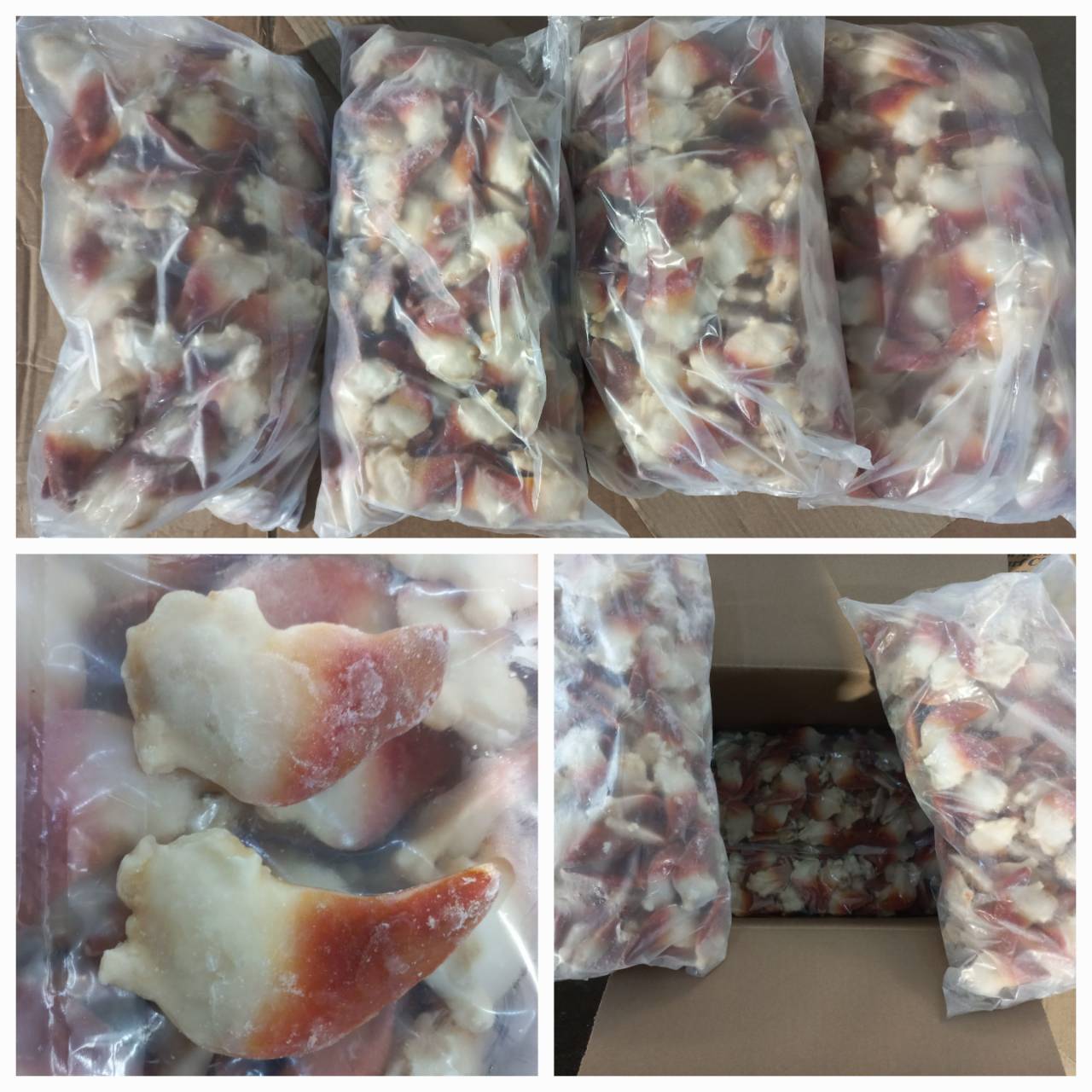 #ตรวจสอบสินค้าประมงนำเข้าทางตู้คอนเทนเนอร์ ณ สถานประกอบการปลายทาง??????