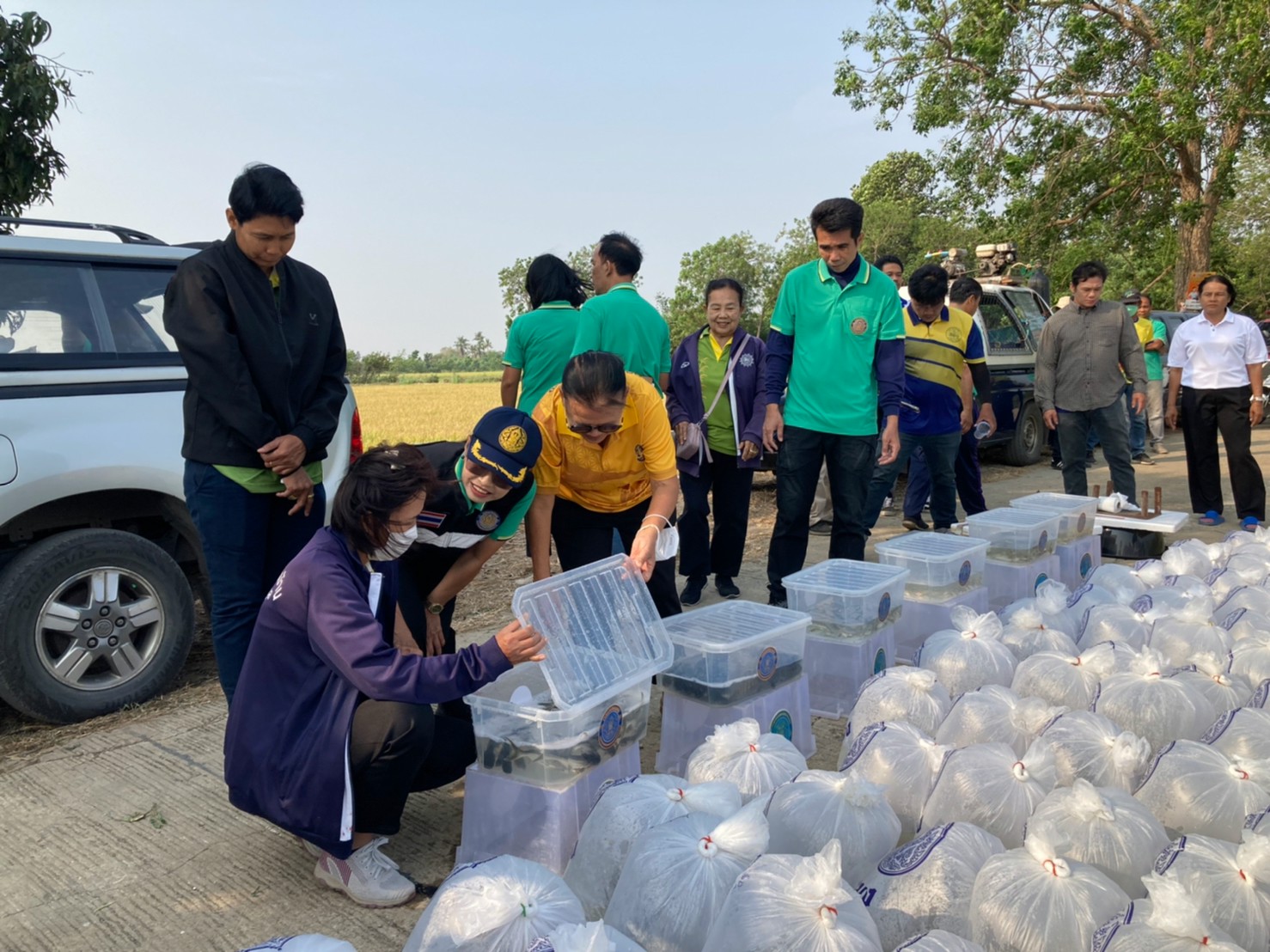 ร่วมปล่อยพันธุ์สัตว์น้ำเศรษฐกิจ 6 ชนิด ณ หนองหลวงและหนองอีล้ำ ในพื้นที่อำเภอโพธิ์ทอง
