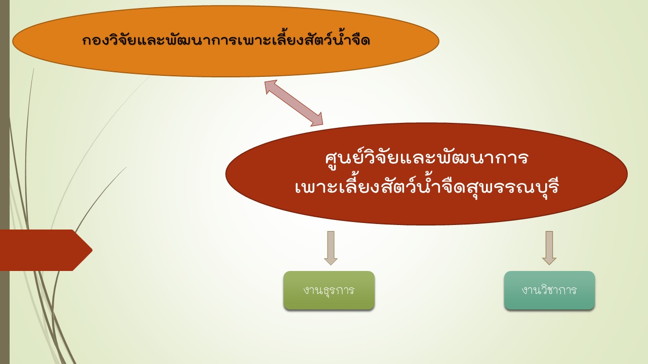 โครงสร้างการดำเนินงาน