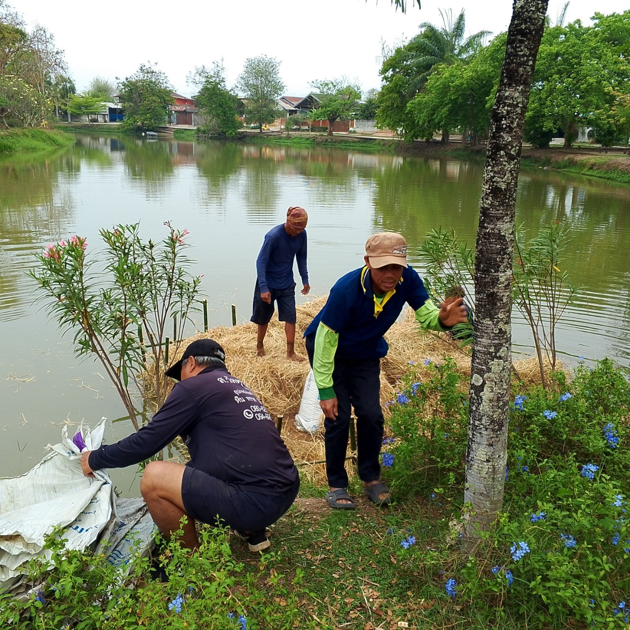 การเพิ่มผลผลิตสัตว์น้ำในแหล่งน้ำชุมชน