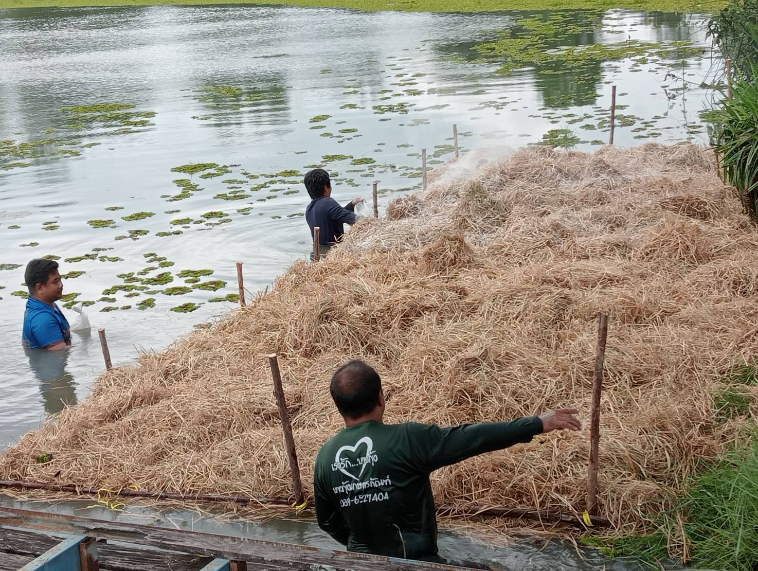 การจัดทำแหล่งอาหารสัตว์น้ำธรรมชาติ (แซนด์วิชปลา) เพื่อเพิ่มผลผลิตสัตว์น้ำในแหล่งน้ำชุมชน 