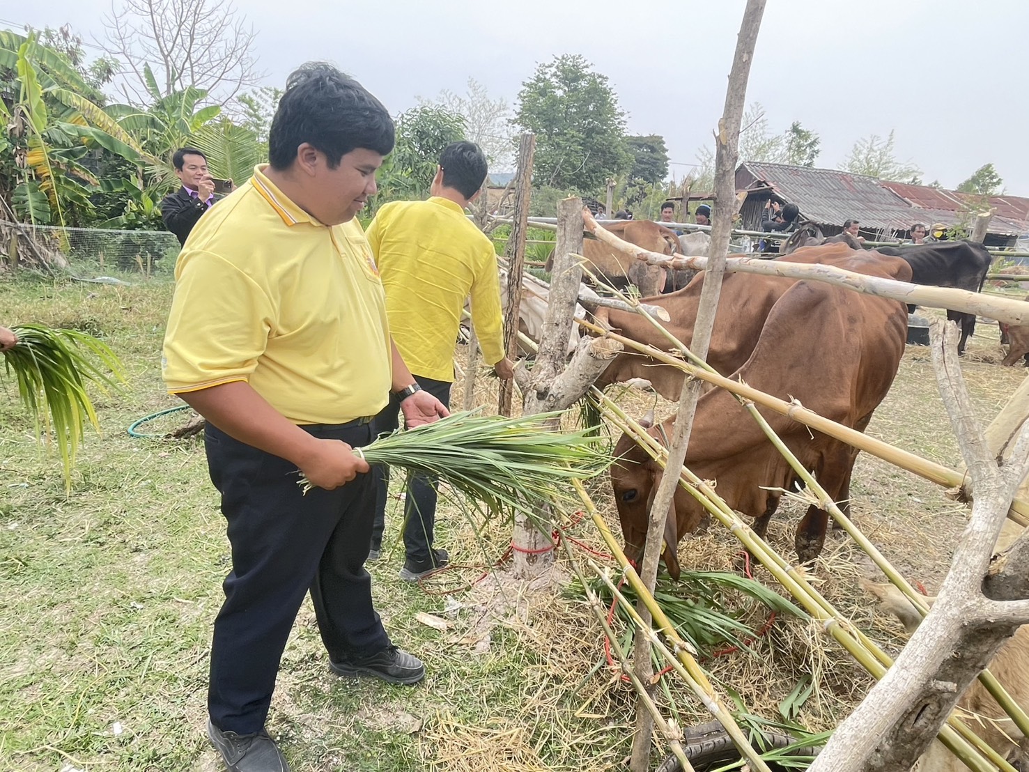 ร่วมจัดพิธีมอบโค โครงการธนาคารโค-กระบือเพื่อเกษตรกร ตามพระราชดำริ เป็นโค จำนวน 50 ตัว และมอบเวชภัณฑ์ จำนวน 50 ชุด ให้กับเกษตรกรอำเภอหนองพอก และเกษตรกรอำเภอเมยวดี
