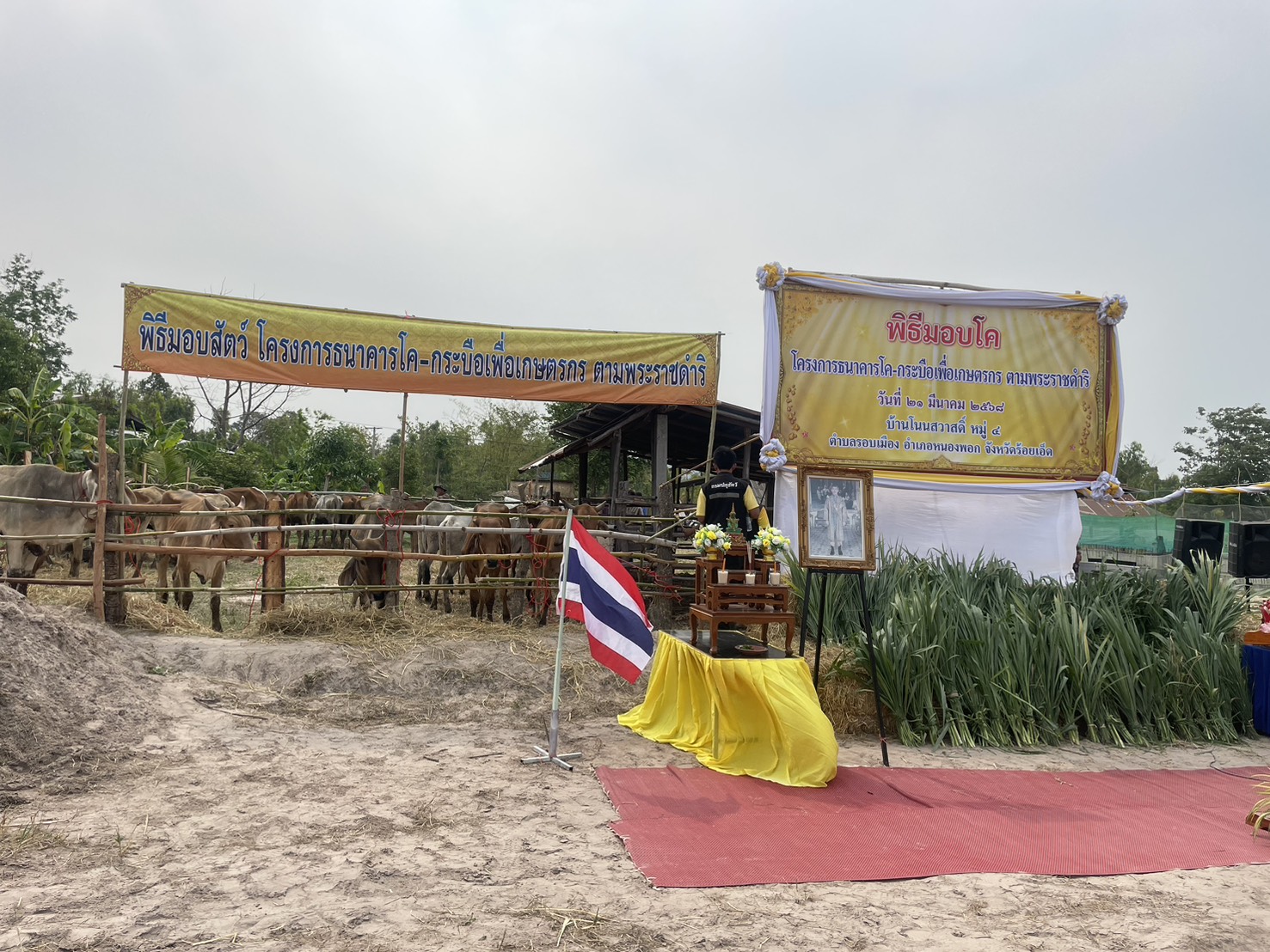 ร่วมจัดพิธีมอบโค โครงการธนาคารโค-กระบือเพื่อเกษตรกร ตามพระราชดำริ เป็นโค จำนวน 50 ตัว และมอบเวชภัณฑ์ จำนวน 50 ชุด ให้กับเกษตรกรอำเภอหนองพอก และเกษตรกรอำเภอเมยวดี