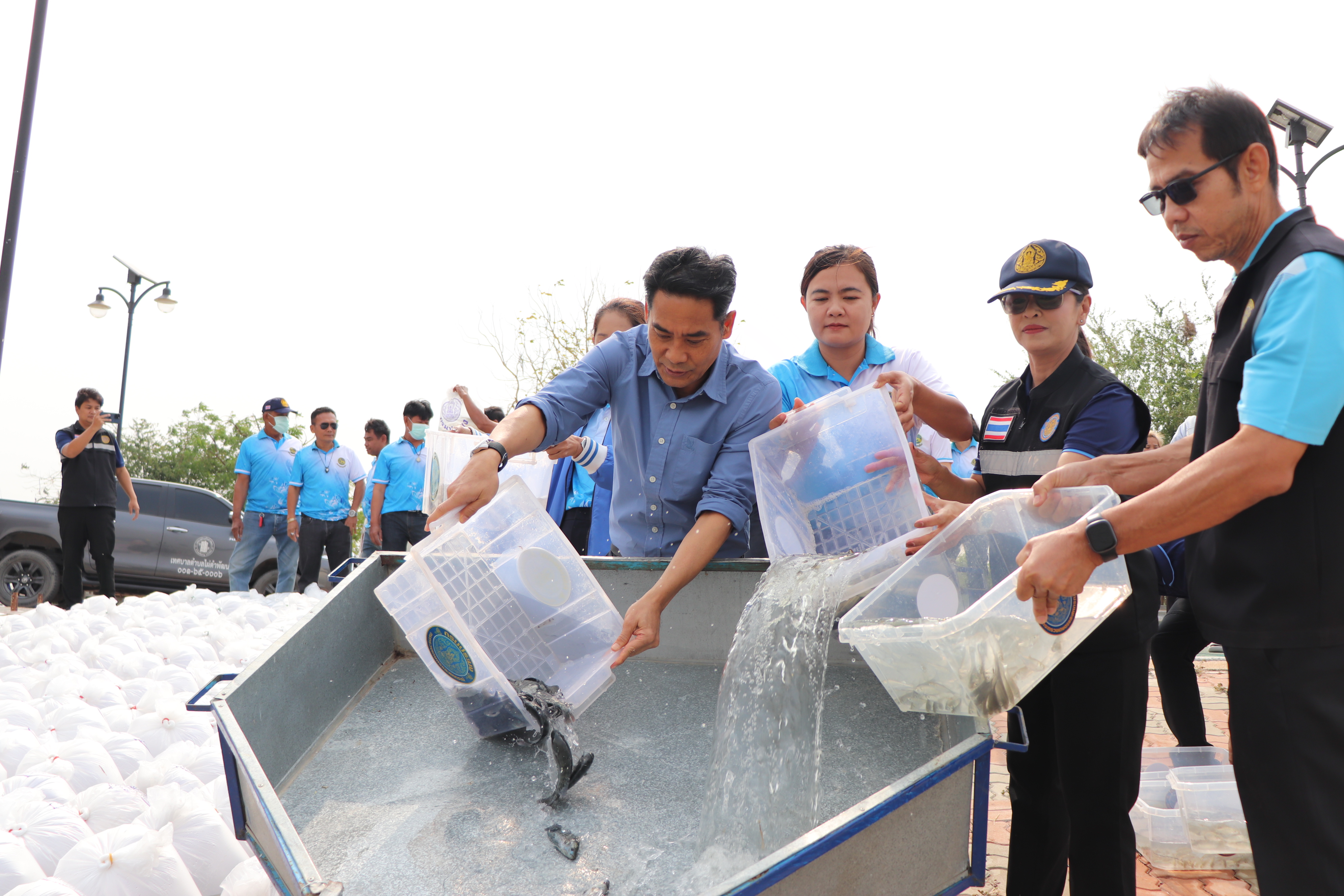 ร่วมปล่อยพันธุ์สัตว์น้ำเศรษฐกิจ 6 ชนิด ณ หนองลาดจินจานและหนองเพิกไพร ในพื้นที่อำเภอวิเศษขัยชาญ