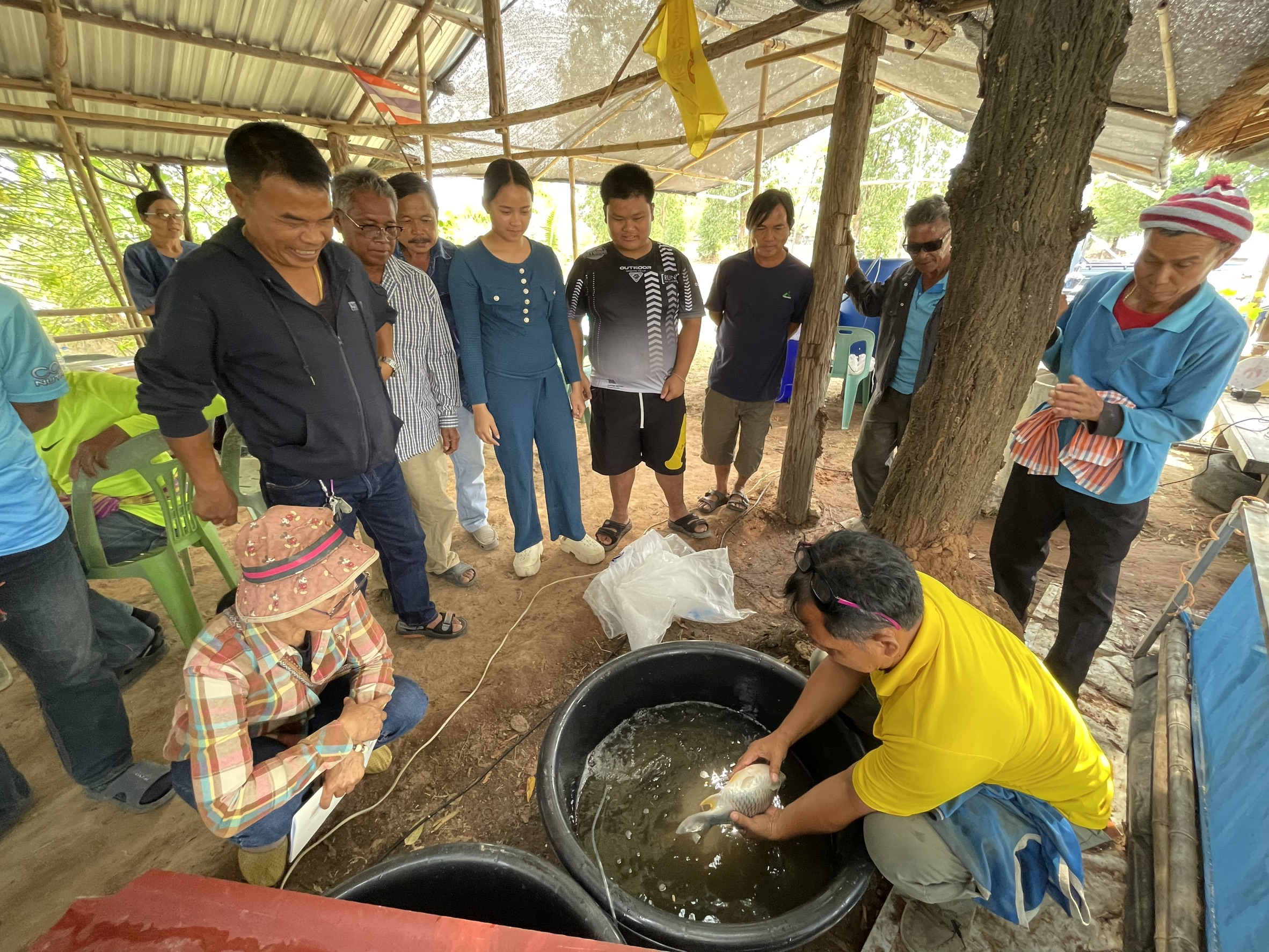 อบรม โครงการยกระดับสินค้าเกษตรปลอดภัย กิจกรรมการพัฒนาศักยภาพการผลิตสินค้าประมง อำเภอภูเขียว