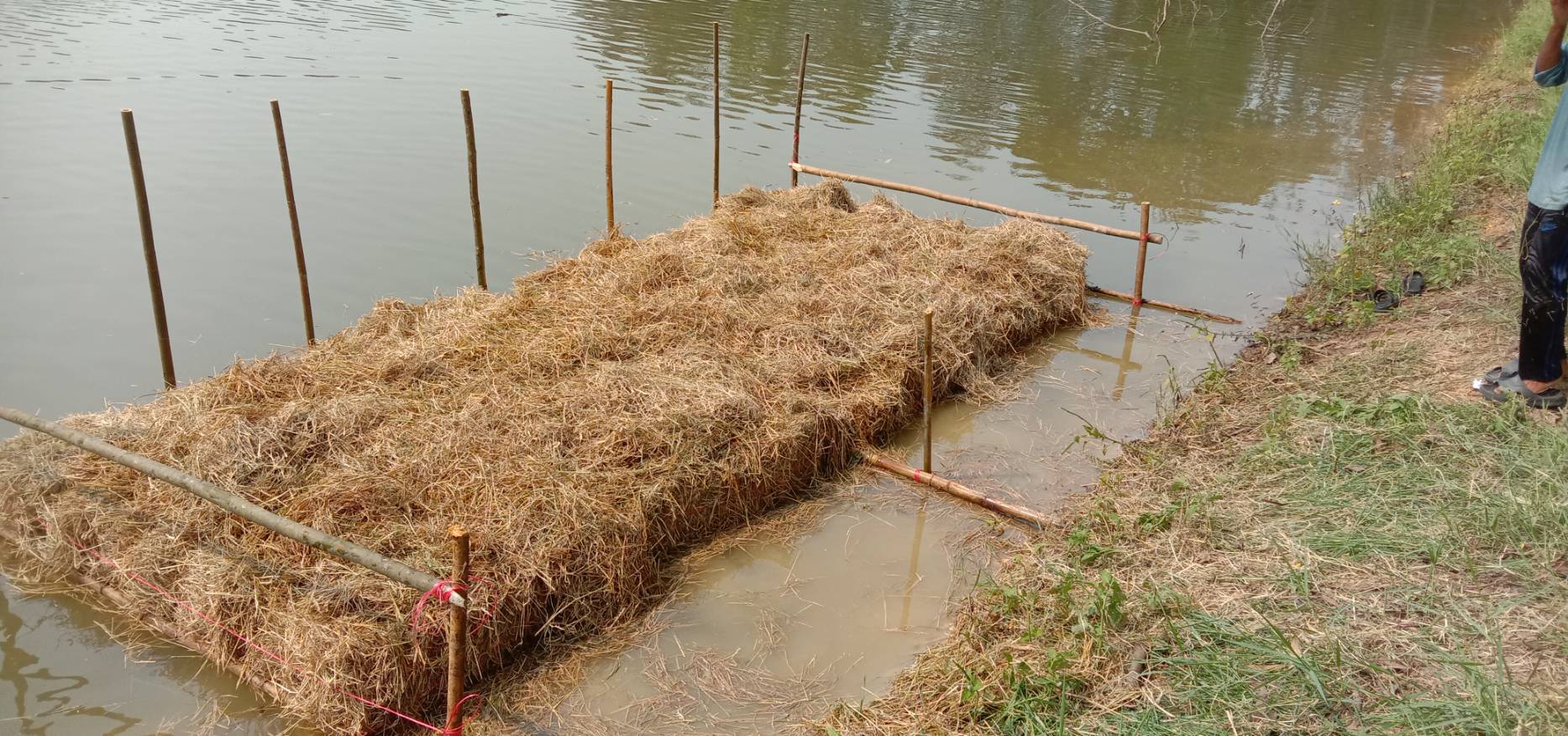 จัดสร้างแหล่งอาหารธรรมชาติในแหล่งน้ำ ตามแผนงาน ยุทธศาสตร์การเกษตรสร้างมูลค่า (ค่าใช้จ่ายในการเพิ่มผลผลิตสัตว์น้ำในแหล่งน้ำชุมชนเพื่อเพิ่มรายได้และลดค่าครองชีพประชาชน)