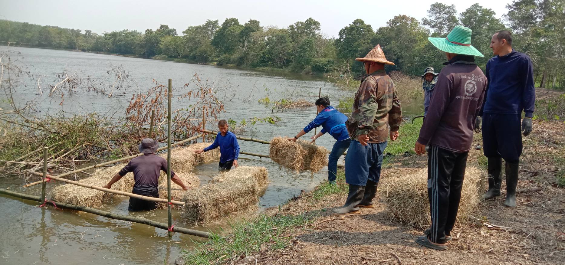 จัดสร้างแหล่งอาหารธรรมชาติในแหล่งน้ำ ตามแผนงาน ยุทธศาสตร์การเกษตรสร้างมูลค่า (ค่าใช้จ่ายในการเพิ่มผลผลิตสัตว์น้ำในแหล่งน้ำชุมชนเพื่อเพิ่มรายได้และลดค่าครองชีพประชาชน)..คลิก