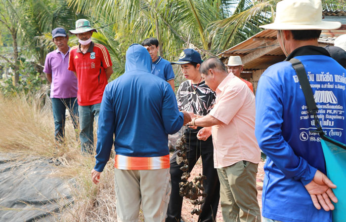 เยี่ยมชมการเลี้ยงหอยนางรม นายนวน รอดเจริญ หมู่ 8 ตำบลคลองขุด อำเภอท่าใหม่ จังหวัดจันทบุรี..คลิก