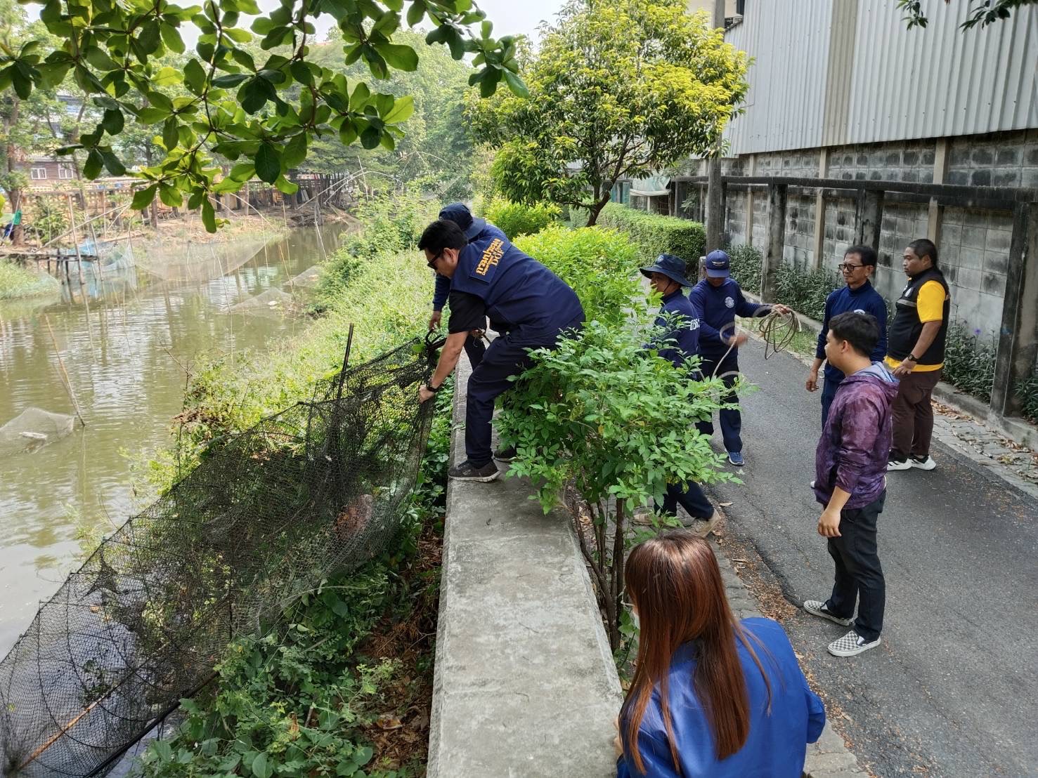 สำนักงานประมงพื้นที่กรุงเทพมหานคร ได้ทำการตรวจยึดเครื่องมือประเภทลอบพับได้(ไอ้โง่)