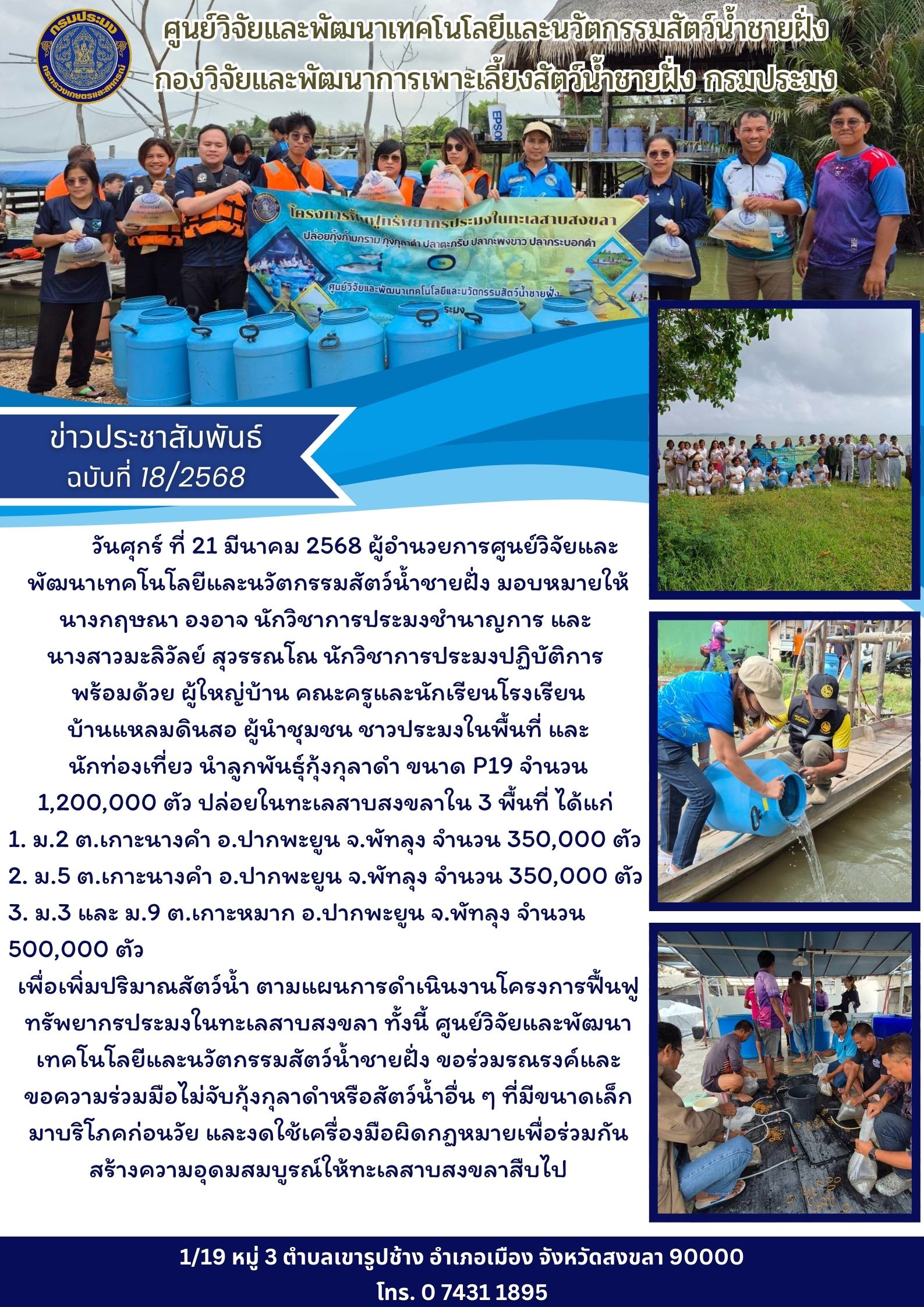 นำลูกพันธุ์กุ้งกุลาดำ ขนาด P19 จำนวน 1,200,000 ตัว ปล่อยในทะเลสาบสงขลา