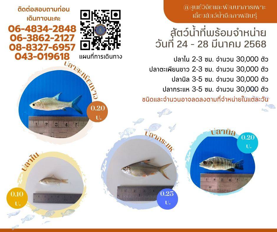 สัตว์น้ำพร้อมจำหน่าย