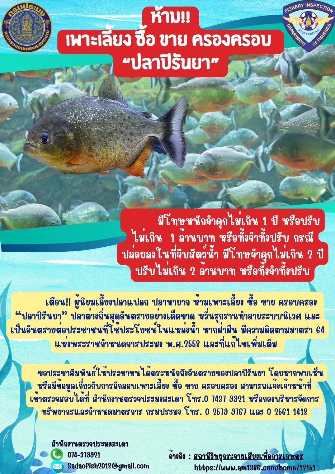 ประชาสัมพันธ์+เกร็ดความรู้......