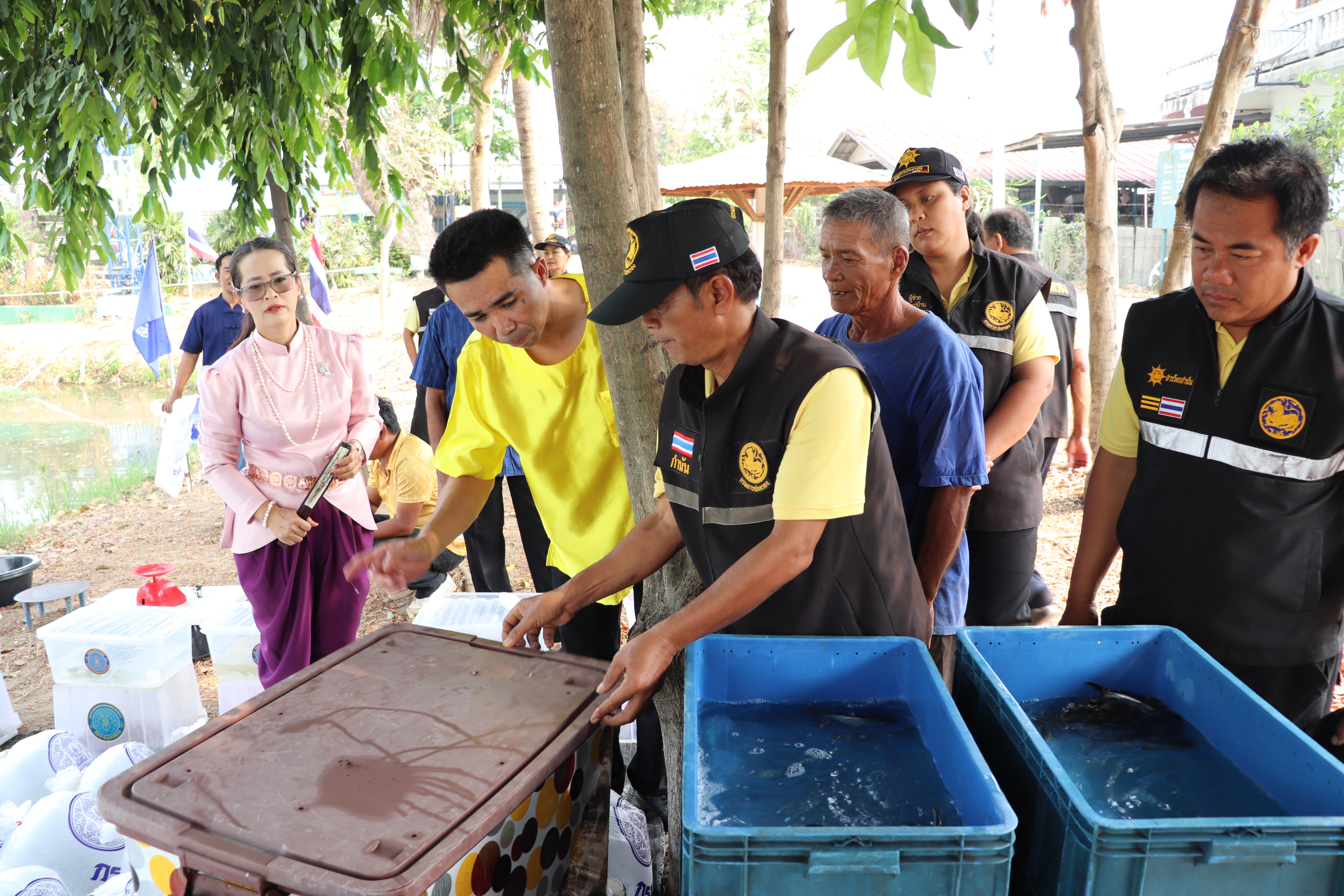 ร่วมปล่อยพันธุ์สัตว์น้ำเศรษฐกิจ 6 ชนิด ณ บึงกลีบเมฆ ในพื้นที่อำเภอเมืองอ่างทอง