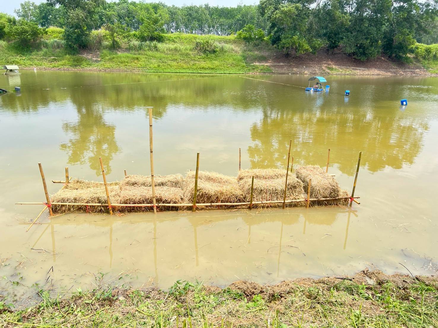 จัดสร้างแหล่งอาหารธรรมชาติในแหล่งน้ำ ตามแผนงานยุทธศาสตร์การเกษตรสร้างมูลค่า (ค่าใช้จ่ายในการเพิ่มผลผลิตสัตว์น้ำในแหล่งน้ำชุมชนเพื่อเพิ่มรายได้และลดค่าครองชีพประชาชน)