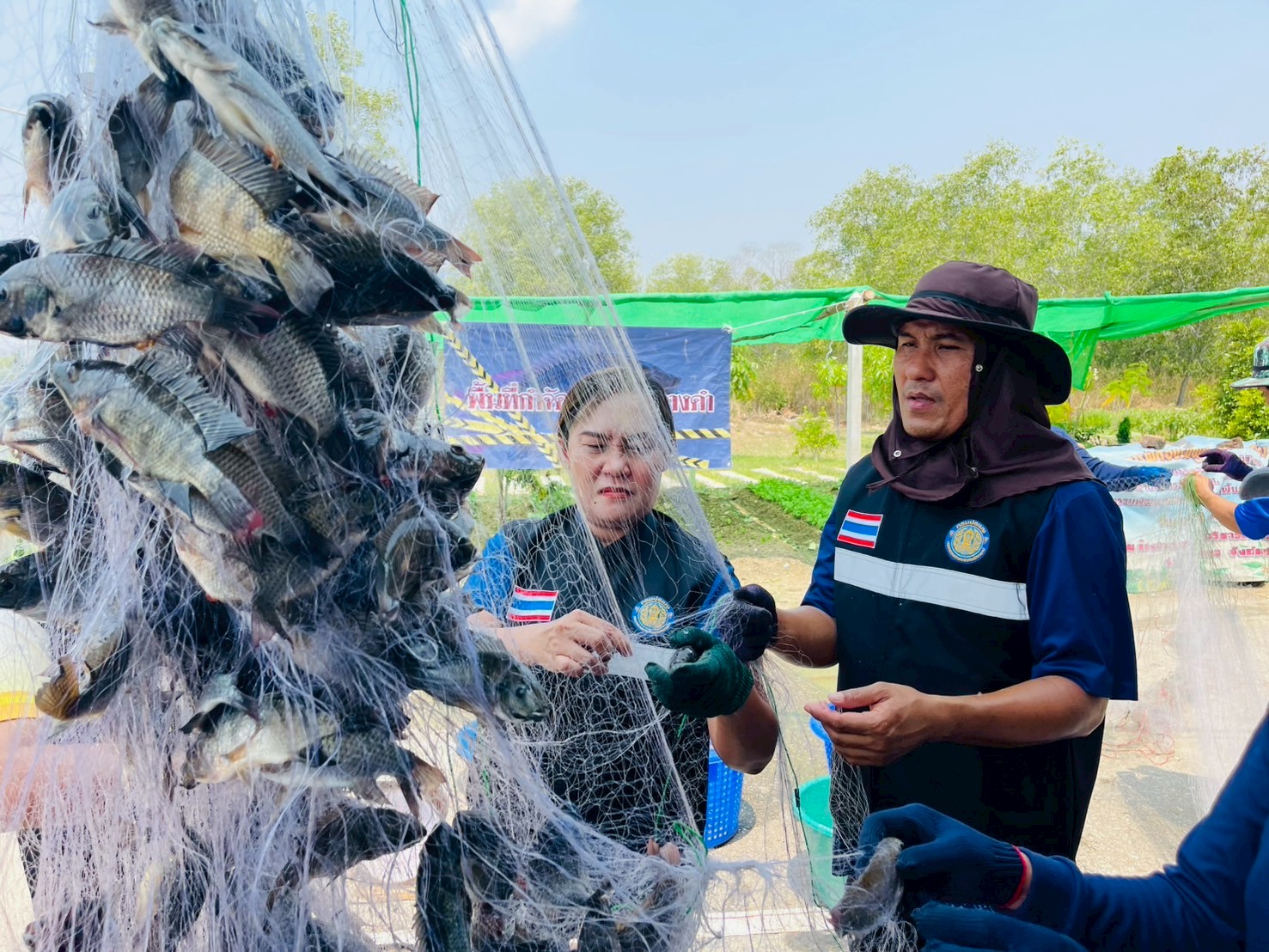 กิจกรรมลงแขกลงคลองกำจัดปลาหมอคางดำ เพื่อเป็นการแก้ไขปัญหาการแพร่ระบาดของปลาหมอคางดำในพื้นที่ให้มีประสิทธิภาพ