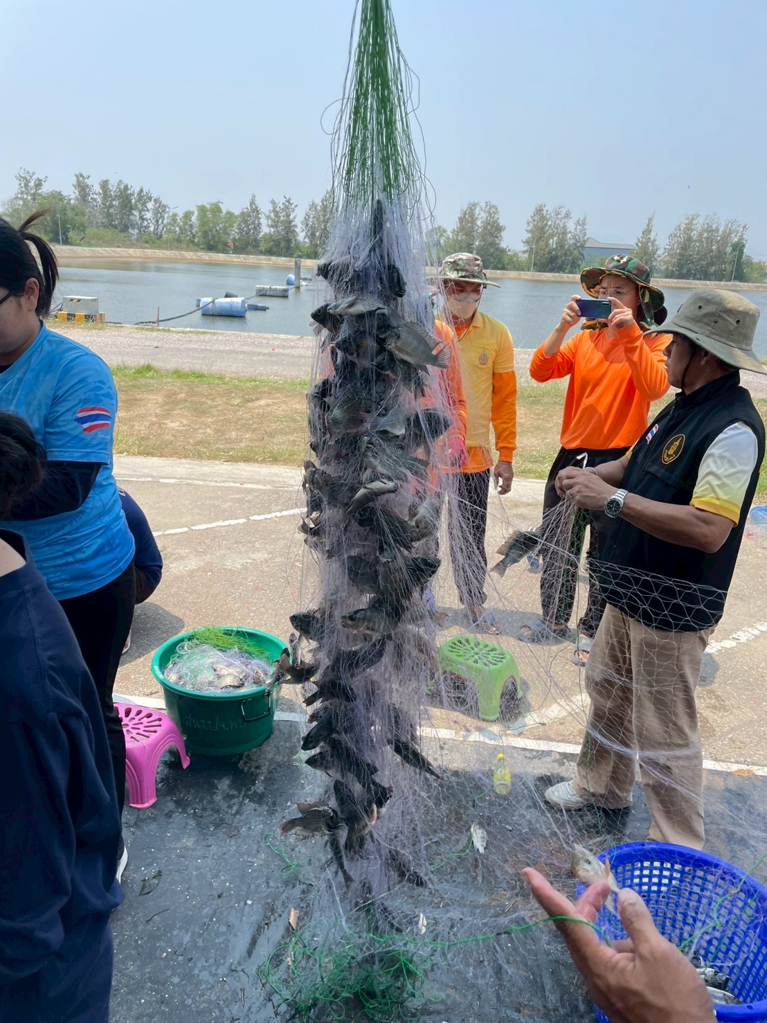 กิจกรรมลงแขกลงคลองกำจัดปลาหมอคางดำ เพื่อเป็นการแก้ไขปัญหาการแพร่ระบาดของปลาหมอคางดำในพื้นที่ให้มีประสิทธิภาพ