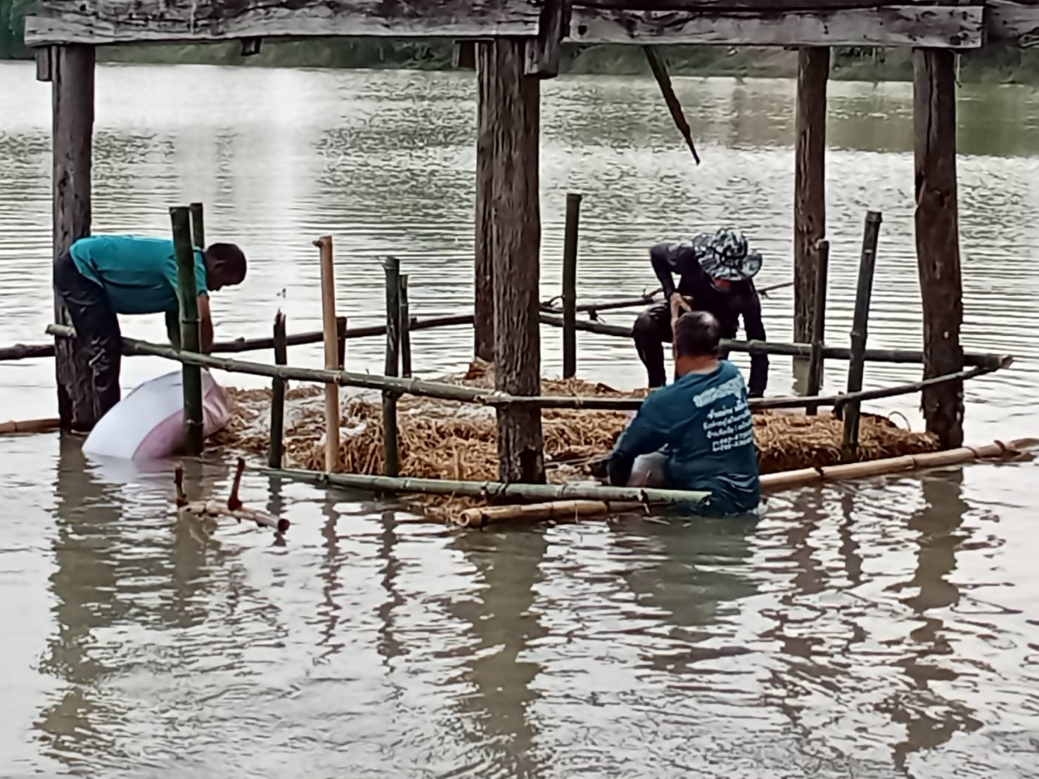 สร้างคอกอาหารธรรมชาติในแหล่งน้ำ