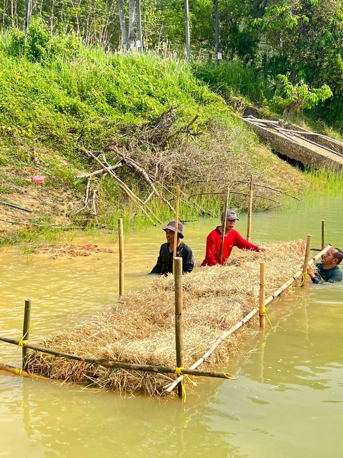 จัดสร้างแหล่งอาหารธรรมชาติในแหล่งน้ำ ตามแผนงานยุทธศาสตร์การเกษตรสร้างมูลค่า (ค่าใช้จ่ายในการเพิ่มผลผลิตสัตว์น้ำในแหล่งน้ำชุมชนเพื่อเพิ่มรายได้และลดค่าครองชีพประชาชน) โครงการ บริหารจัดการทรัพยากรประมง กิจกรรม บริหารจัดการทรัพยากรประมงน้ำจืด