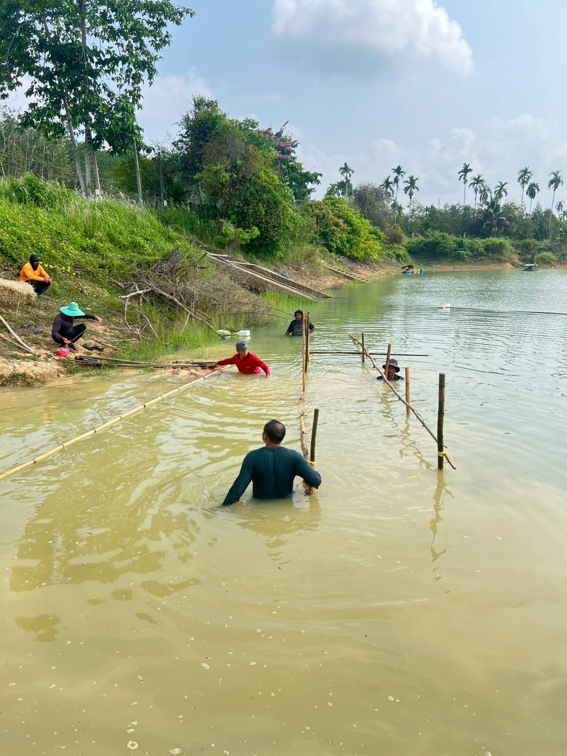 จัดสร้างแหล่งอาหารธรรมชาติในแหล่งน้ำ ตามแผนงานยุทธศาสตร์การเกษตรสร้างมูลค่า (ค่าใช้จ่ายในการเพิ่มผลผลิตสัตว์น้ำในแหล่งน้ำชุมชนเพื่อเพิ่มรายได้และลดค่าครองชีพประชาชน) โครงการ บริหารจัดการทรัพยากรประมง กิจกรรม บริหารจัดการทรัพยากรประมงน้ำจืด