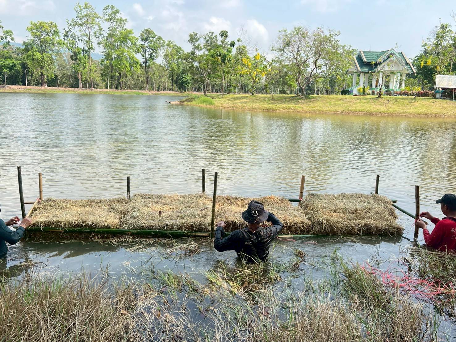 จัดสร้างแหล่งอาหารธรรมชาติในแหล่งน้ำ ตามแผนงานยุทธศาสตร์การเกษตรสร้างมูลค่า (ค่าใช้จ่ายในการเพิ่มผลผลิตสัตว์น้ำในแหล่งน้ำชุมชนเพื่อเพิ่มรายได้และลดค่าครองชีพประชาชน)..คลิก