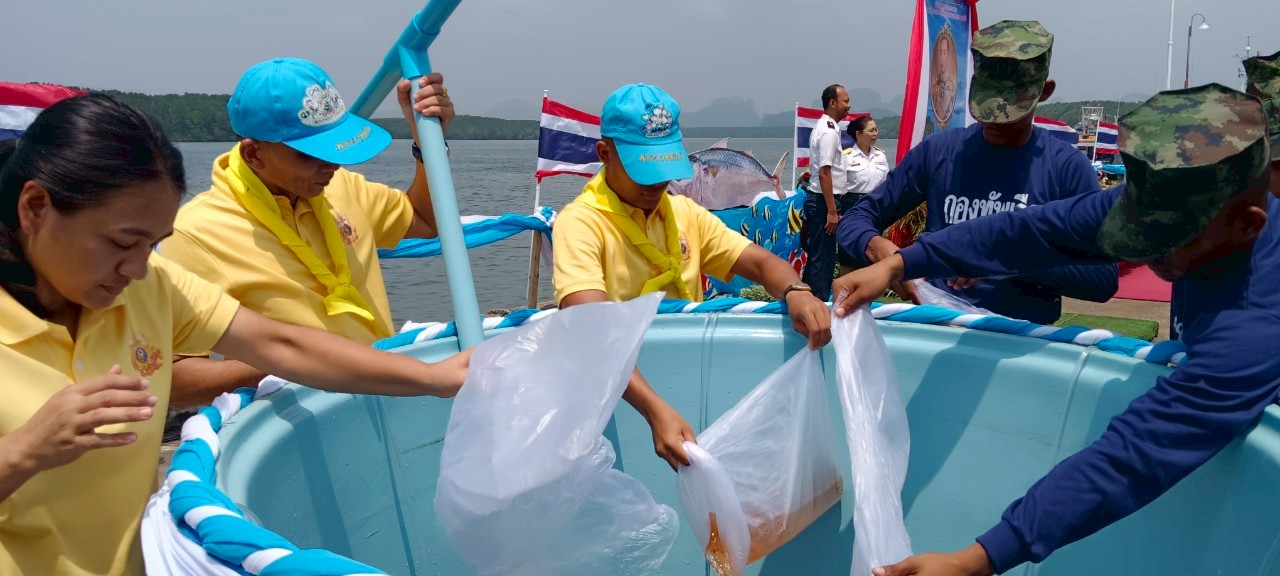 พิธี “ประกาศใช้มาตรการบริหารจัดการทรัพยากรฤดูสัตว์น้ำมีไข่ วางไข่ เลี้ยงตัวอ่อนฝั่งทะเลอันดามัน ประจำปี 2568”