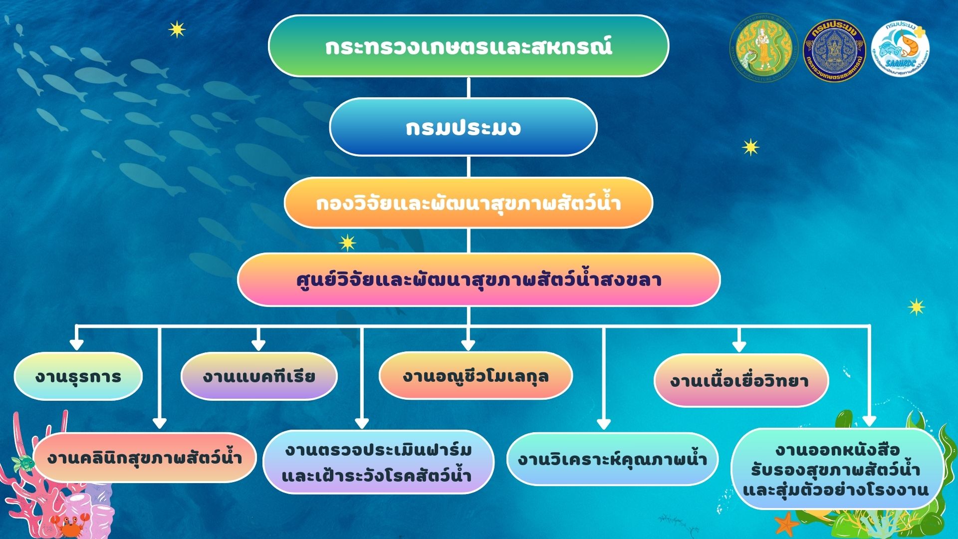 โครงสร้างศูนย์วิจัยและพัฒนาสุขภาพสัตว์น้ำสงขลา..คลิก