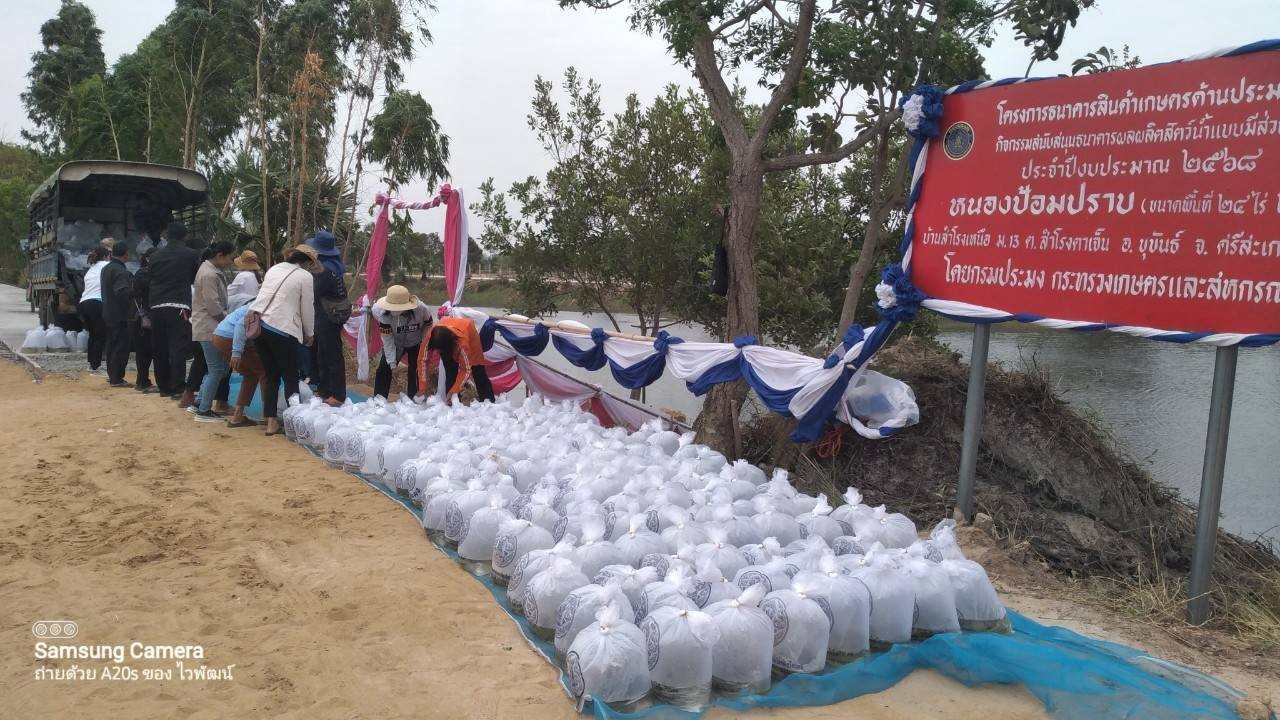 ข่าวประชาสัมพันธ์ประจำวันที่19 มีนาคม 2568 ศูนย์วิจัยและพัฒนาการเพาะเลี้ยงสัตว์น้ำจืดศรีสะเกษ ฉบับที่ 42