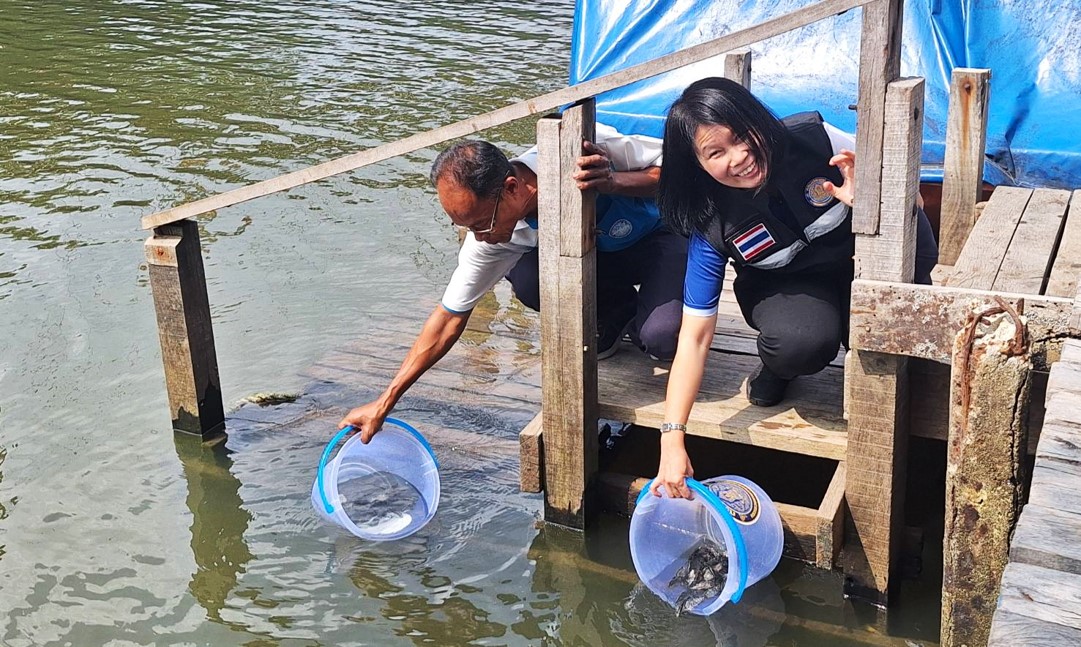 นางนันทวัน ศานติสาธิตกุล ผู้อำนวยการศูนย์วิจัยและพัฒนาการเพาะเลี้ยงสัตว์น้ำชายฝั่งระยอง พร้อมด้วย  ร่วมกิจกรรมปล่อยพันธุ์สัตว์น้ำ (ปลากะพงขาว) เพื่อแก้ไขปัญหาการแพร่ระบาดของปลาหมอคางดำ จังหวัดระยอง
