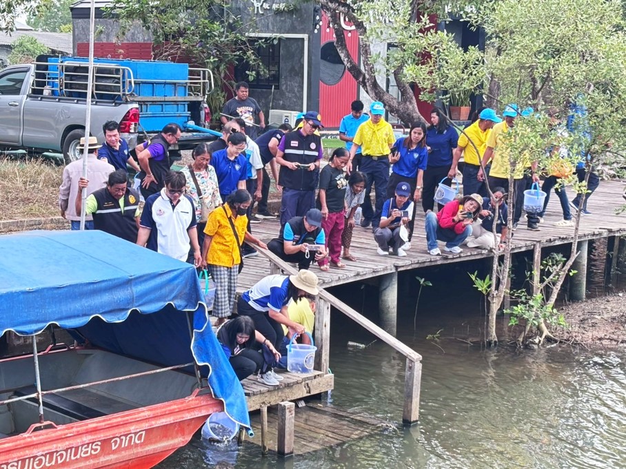 นางนันทวัน ศานติสาธิตกุล ผู้อำนวยการศูนย์วิจัยและพัฒนาการเพาะเลี้ยงสัตว์น้ำชายฝั่งระยอง พร้อมด้วย  ร่วมกิจกรรมปล่อยพันธุ์สัตว์น้ำ (ปลากะพงขาว) เพื่อแก้ไขปัญหาการแพร่ระบาดของปลาหมอคางดำ จังหวัดระยอง