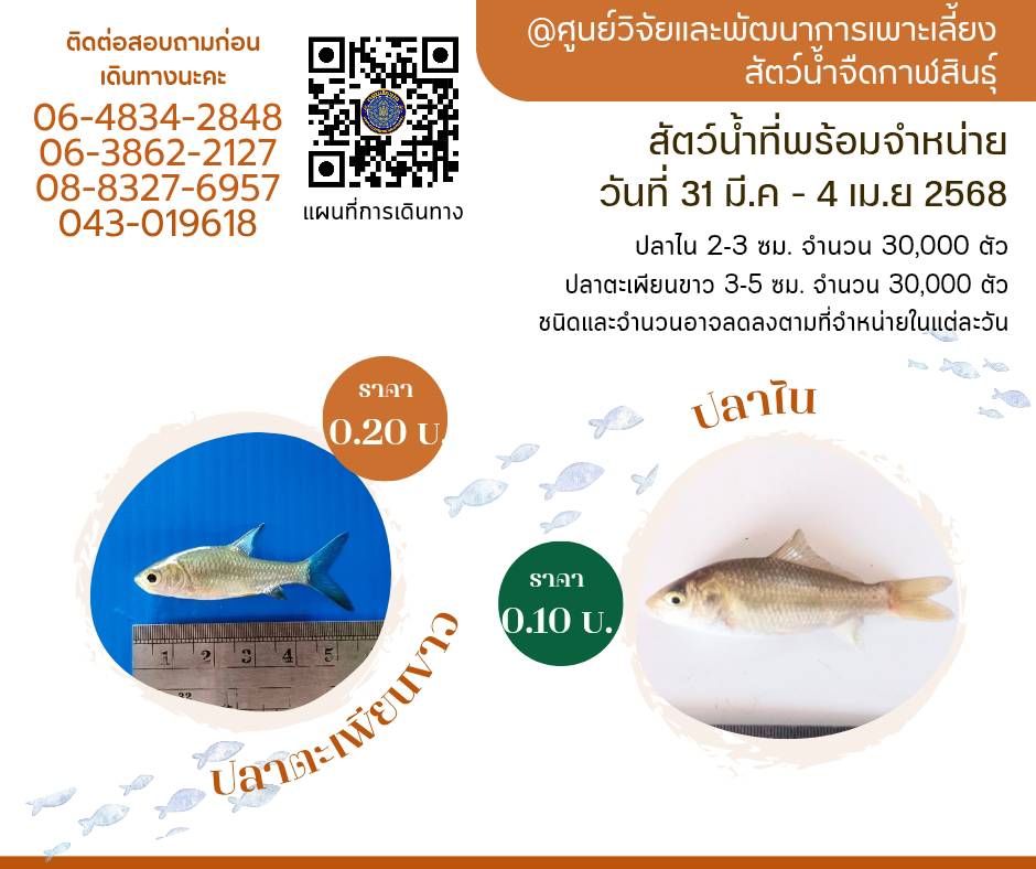 สัตว์น้ำพร้อมจำหน่าย