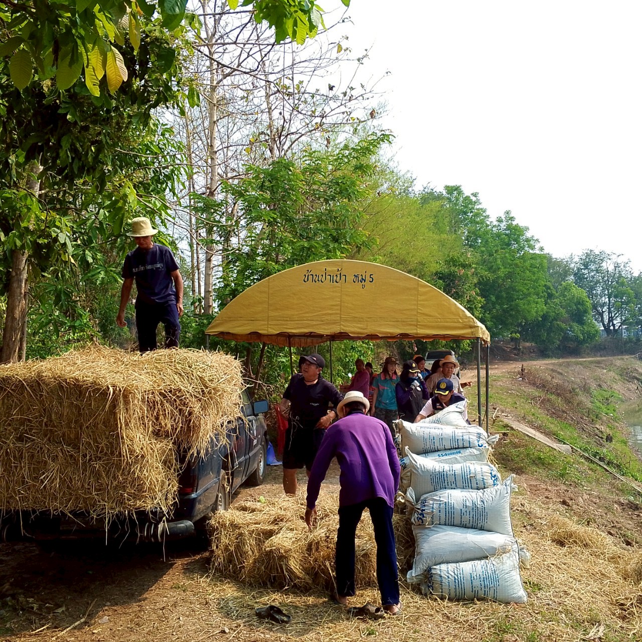 การเพิ่มผลผลิตสัตว์น้ำในแหล่งน้ำชุมชน