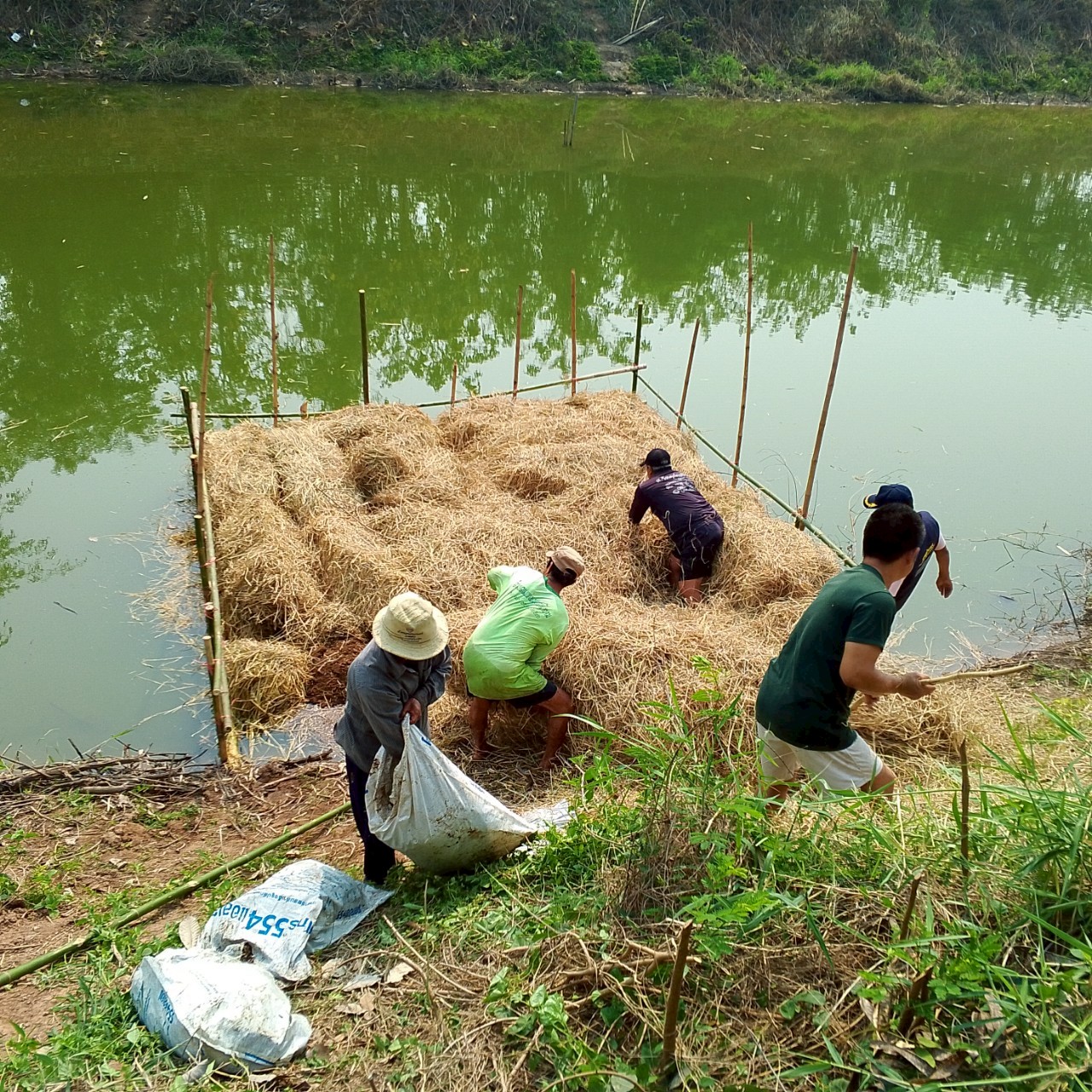 การเพิ่มผลผลิตสัตว์น้ำในแหล่งน้ำชุมชน