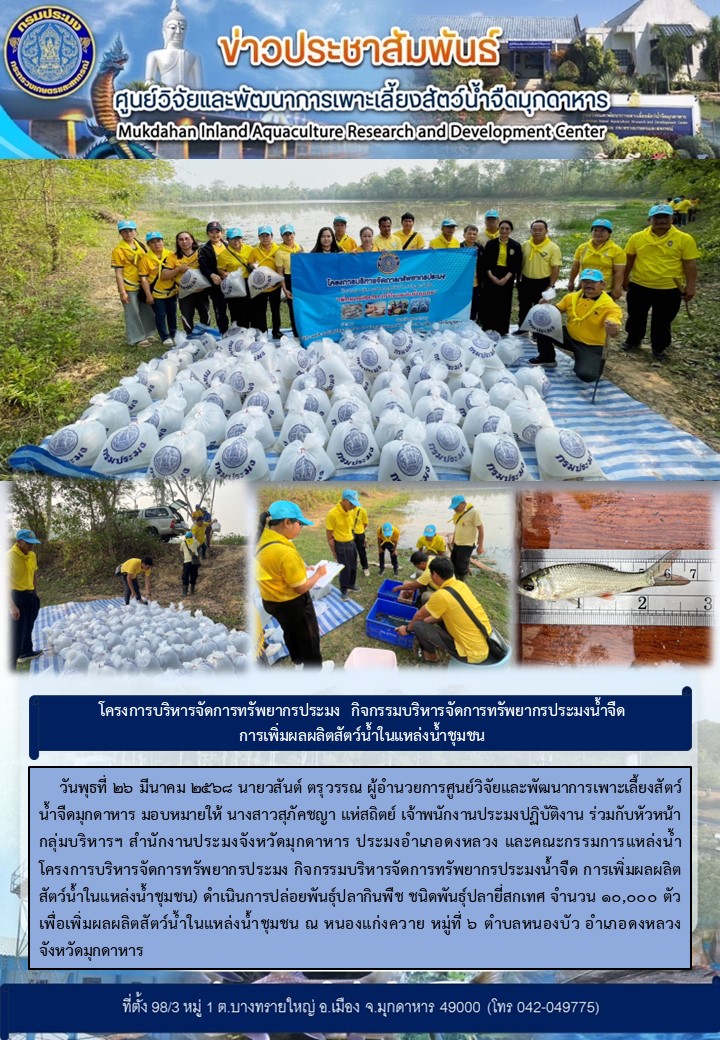 วันพุธที่ 26 มีนาคม 2568 กิจกรรมบริหารจัดการทรัพยากรประมงน้ำจืด การเพิ่มผลผลิตสัตว์น้ำในแหล่งน้ำชุมชน) ดำเนินการปล่อยพันธุ์ปลากินพืช ชนิดพันธุ์ปลายี่สกเทศ จำนวน 10,000 ตัว เพื่อเพิ่มผลผลิตสัตว์น้ำในแหล่งน้ำชุมชน ณ หนองแก่งควาย หมู่ที่ 6 ตำบลหนองบัว อำเภอดงหลวง จังหวัดมุกดาหาร..คลิก