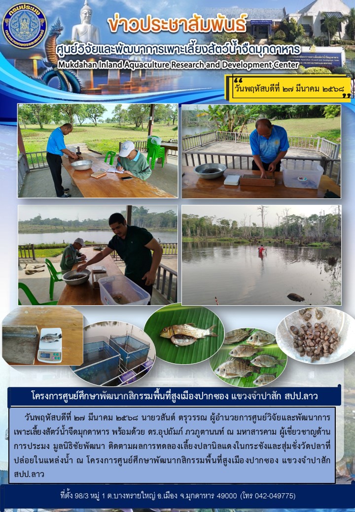 *** วันพฤหัสบดีที่ 27 มีนาคม 2568 ติดตามผลการทดลองเลี้ยงปลานิลแดงในกระชังและสุ่มชั่งวัดปลาที่ปล่อยในแหล่งน้ำ โครงการศูนย์ศึกษาพัฒนากสิกรรมพื้นที่สูงเมืองปากซอง แขวงจำปาสัก สปป.ลาว***..คลิก