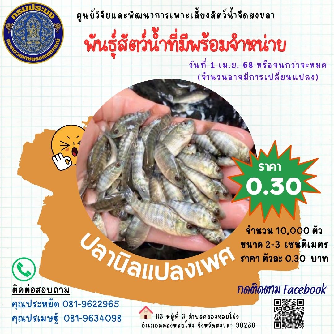 พันธุ์สัตว์น้ำพร้อมจำหน่าย