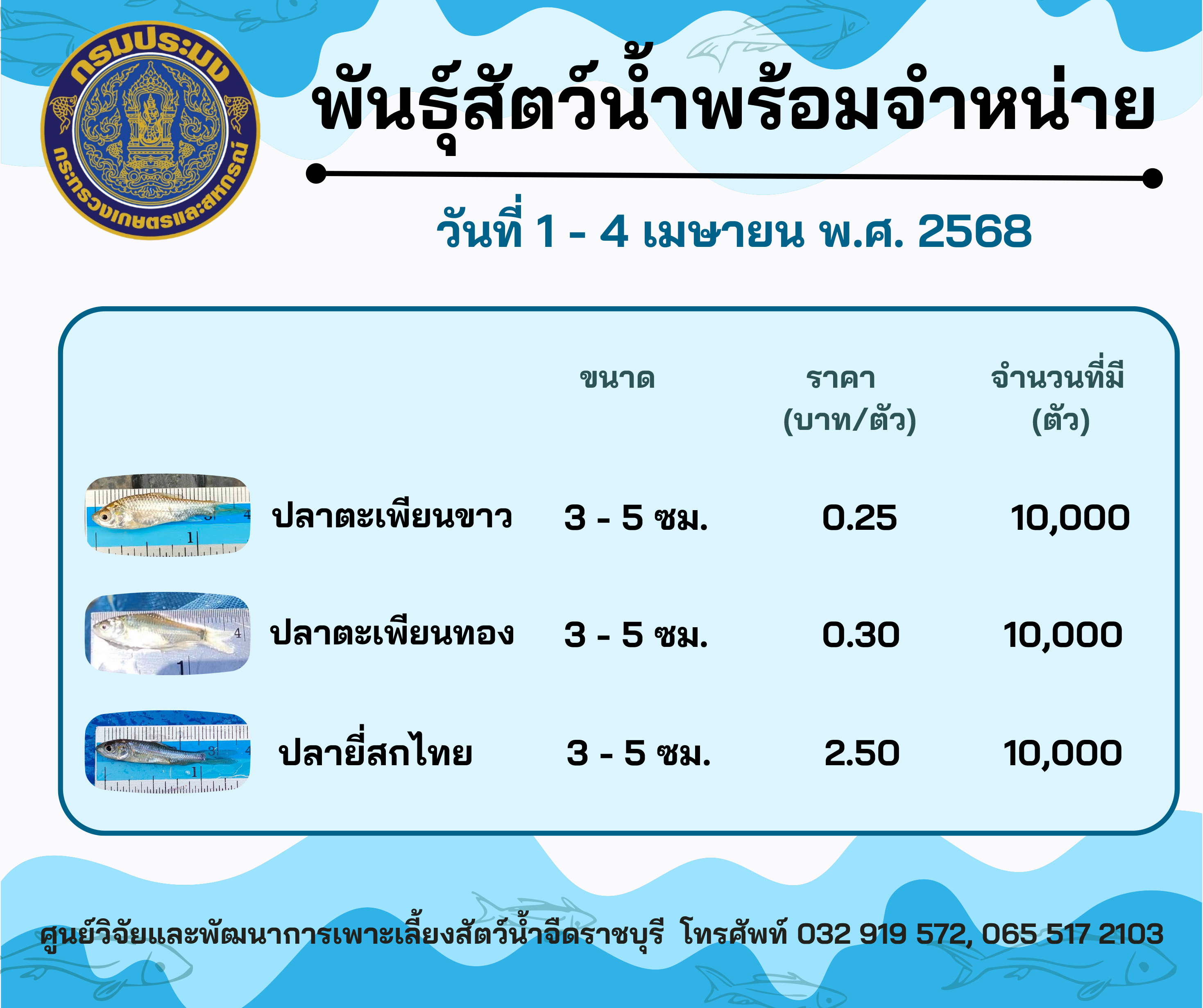ลูกพันธุ์สัตว์น้ำพร้อมจำหน่าย วันที่ 1 - 4 เมษายน พ.ศ. 2568