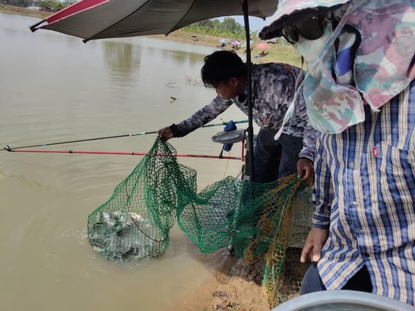 จัดกิจกรรมตกปลา ณ หนองหัวช้าง..คลิก