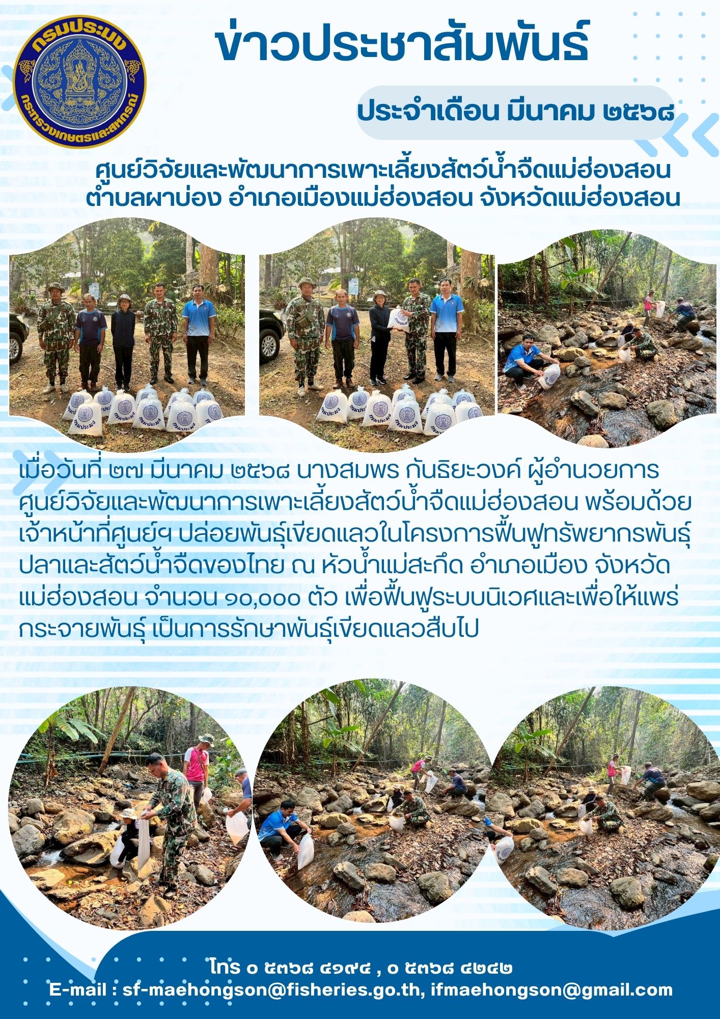 ปล่อยพันธุ์เขียดแลวในโครงการฟื้นฟูทรัพยากรพันธุ์ปลาและสัตว์น้ำจืดของไทย ณ หัวน้ำแม่สะกึด อำเภอเมือง จังหวัดแม่ฮ่องสอน