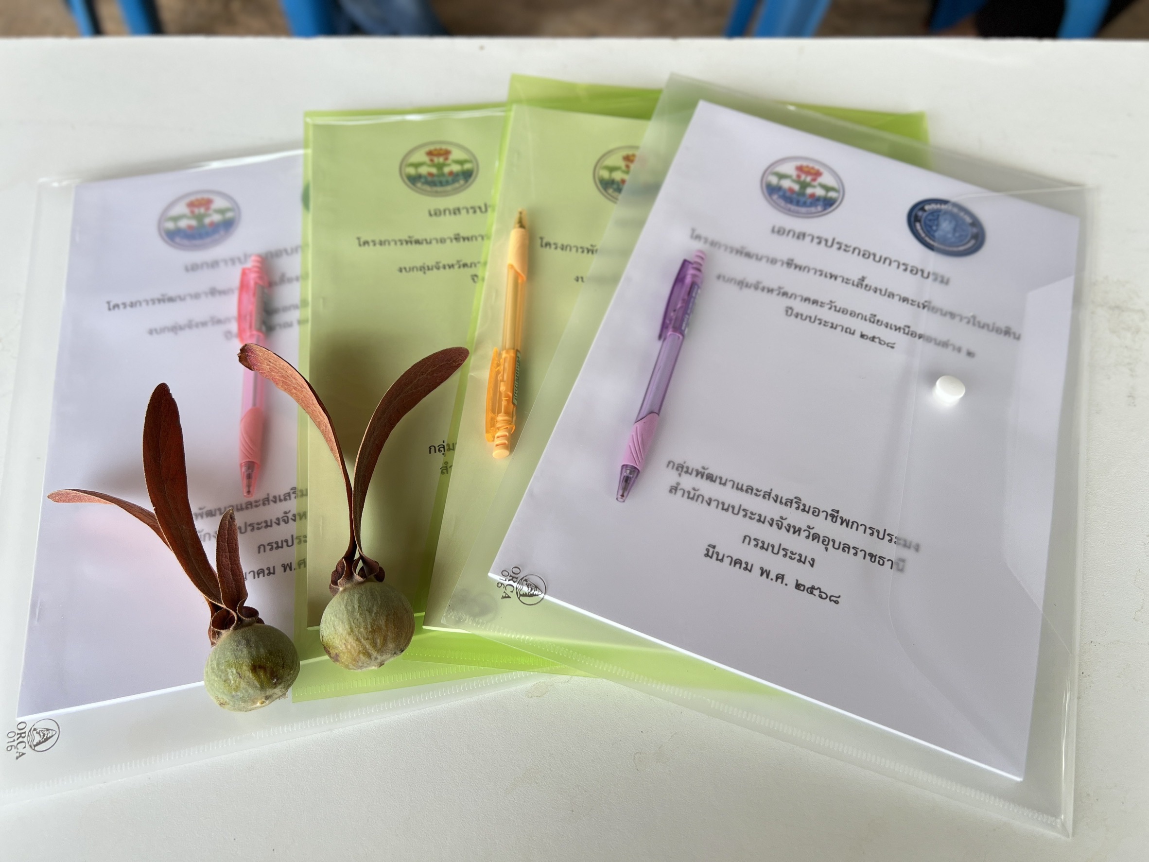 ประมงอุบลฯ จัดกิจกรรมอบรมภายใต้โครงการส่งเสริมการเลี้ยงปลาตะเพียนขาวในบ่อดิน งบกลุ่มจังหวัดภาคตะวันออกเฉียงเหนือตอนล่าง 2 ปีงบประมาณ 2568