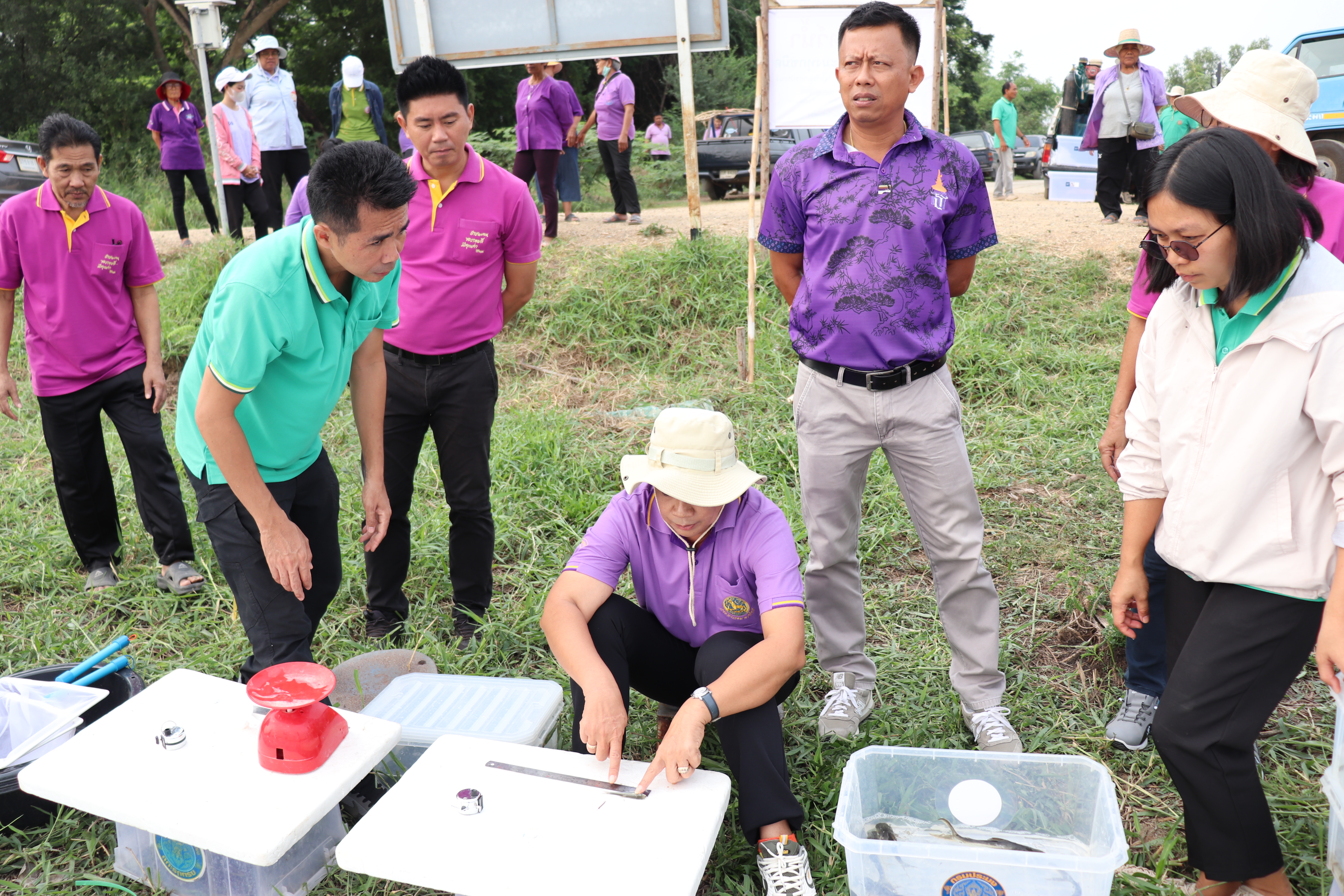 ร่วมปล่อยพันธุ์สัตว์น้ำเศรษฐกิจ 6 ชนิด ณ หนองขโมย และหนองรางยายสา ในพื้นที่อำเภอป่าโมก